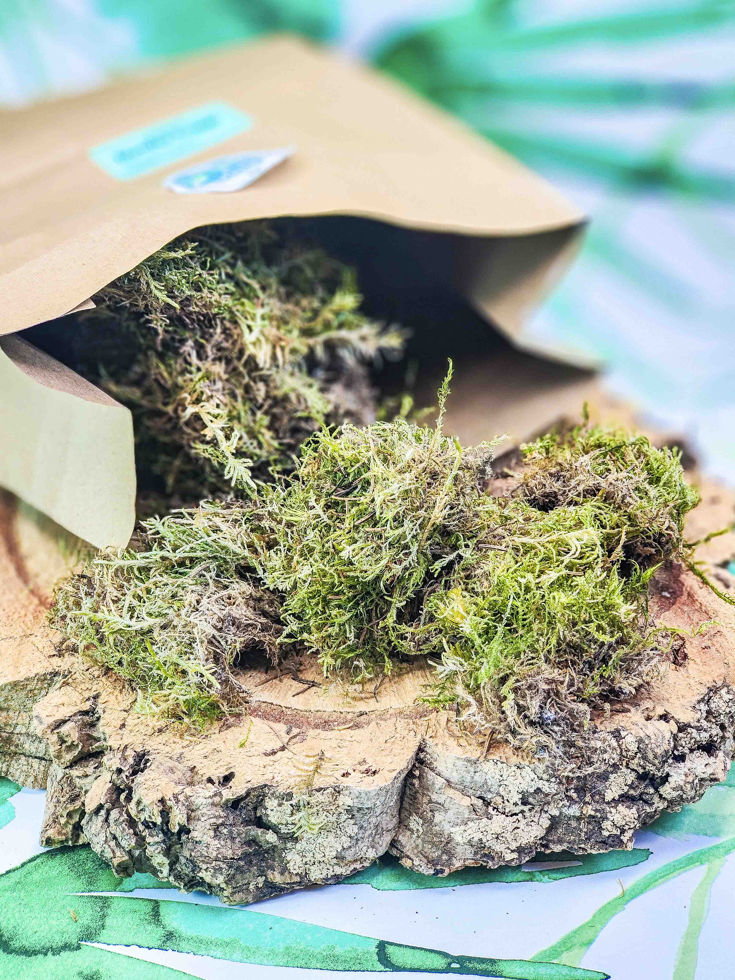 MUSGUÍN trocitos de musgo