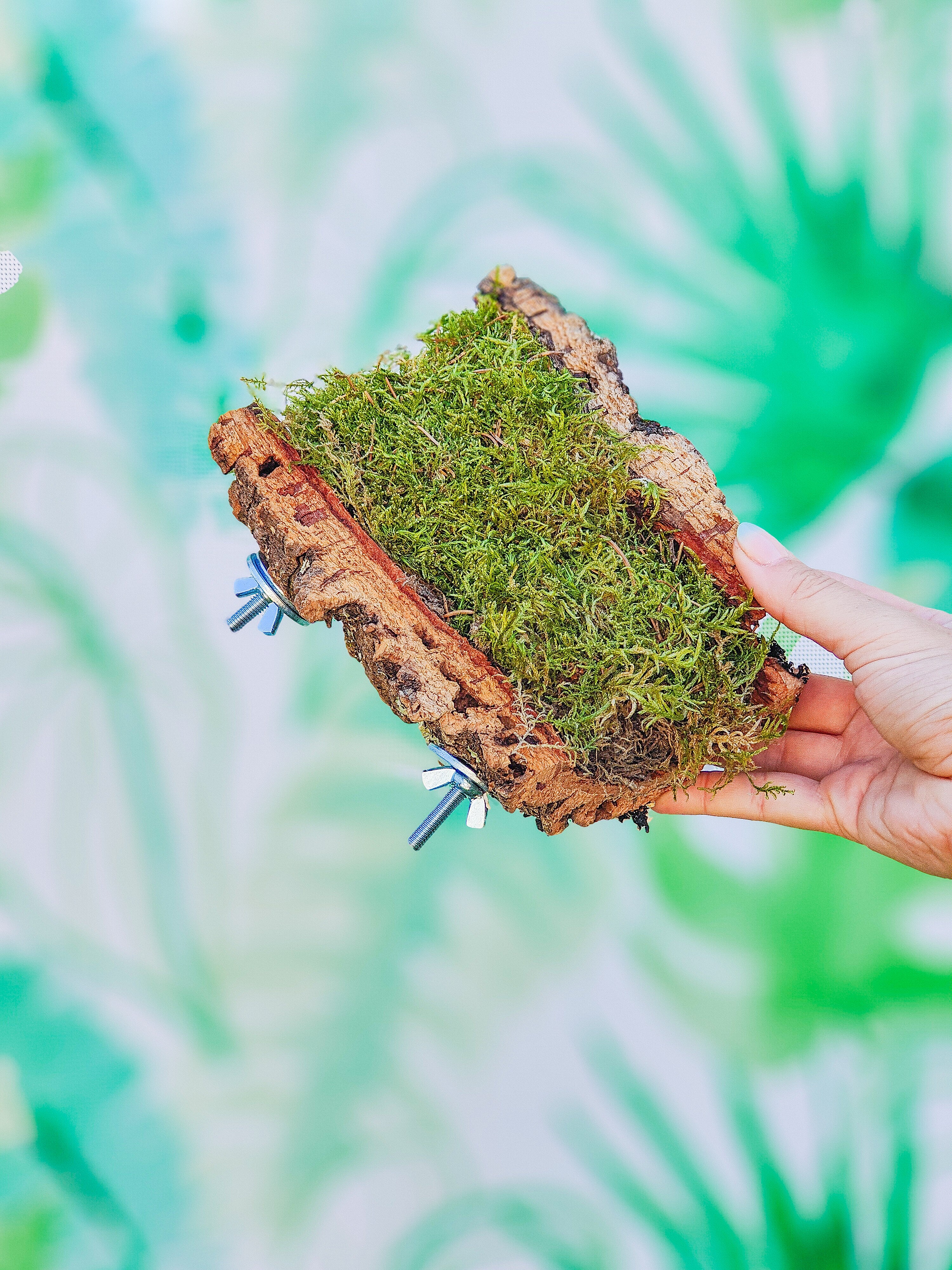 MUSGUÍN bandeja tubo corcho
