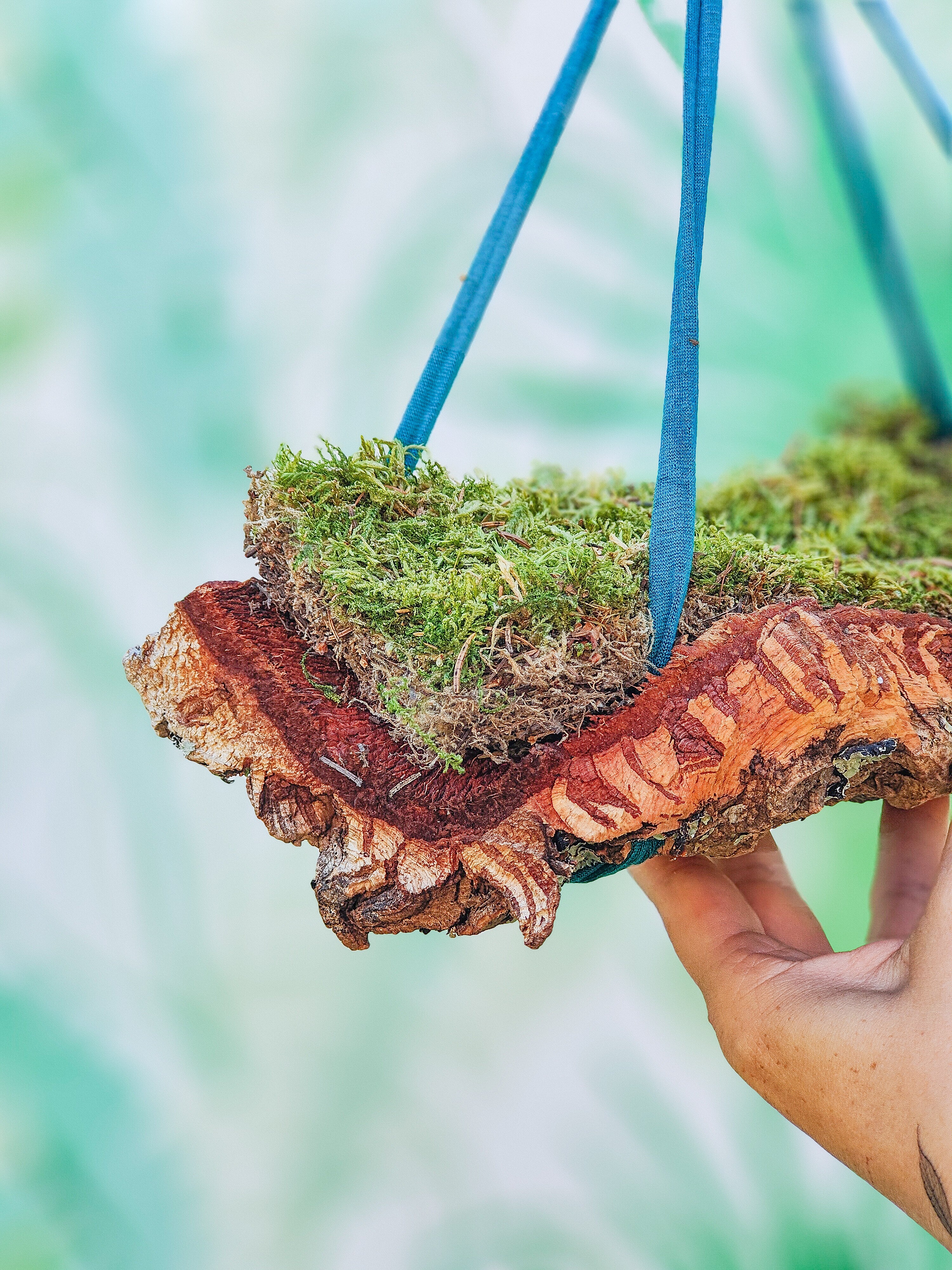 MUSGUÍN bandeja tubo corcho