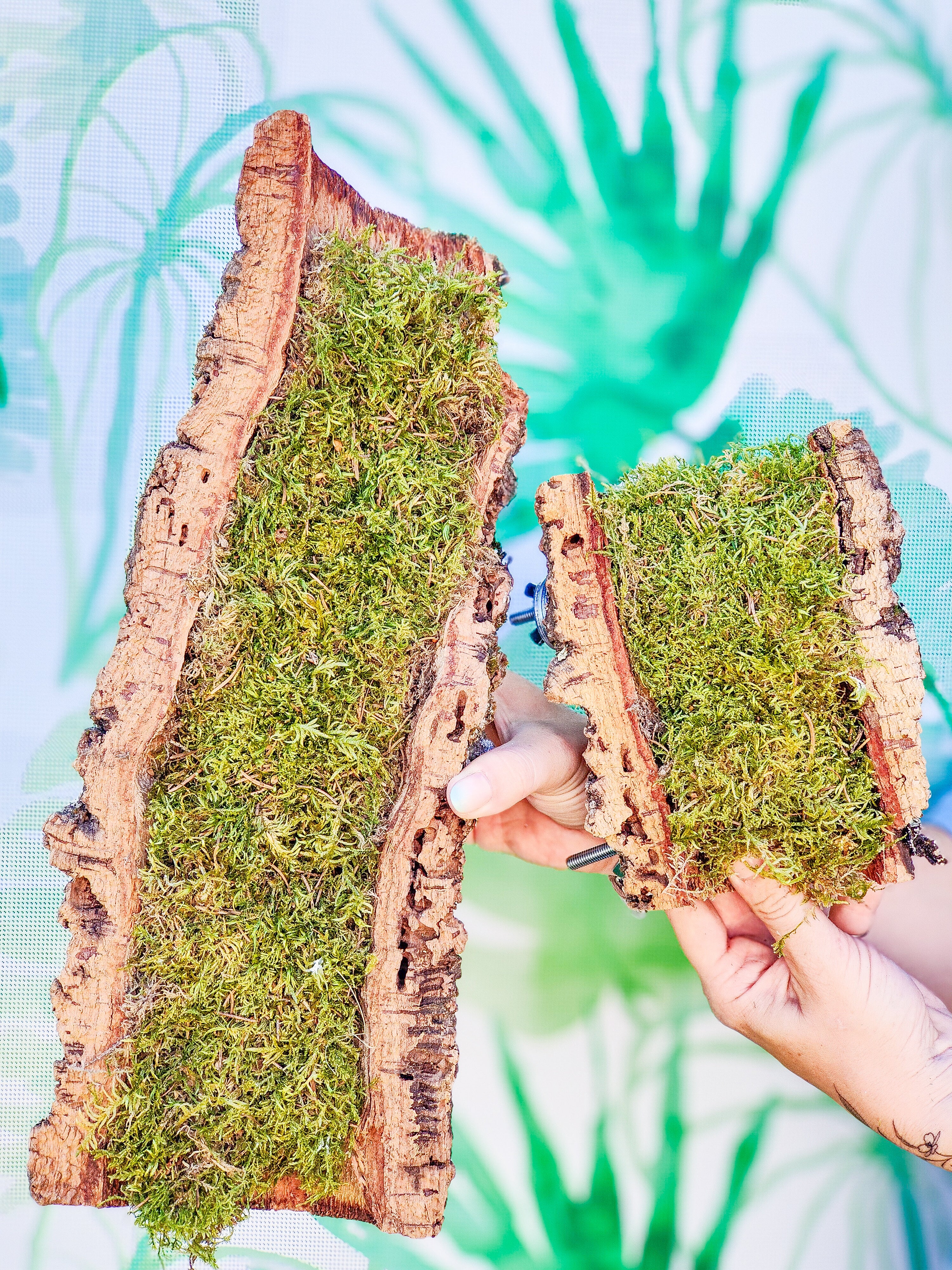 MUSGUÍN bandeja tubo corcho