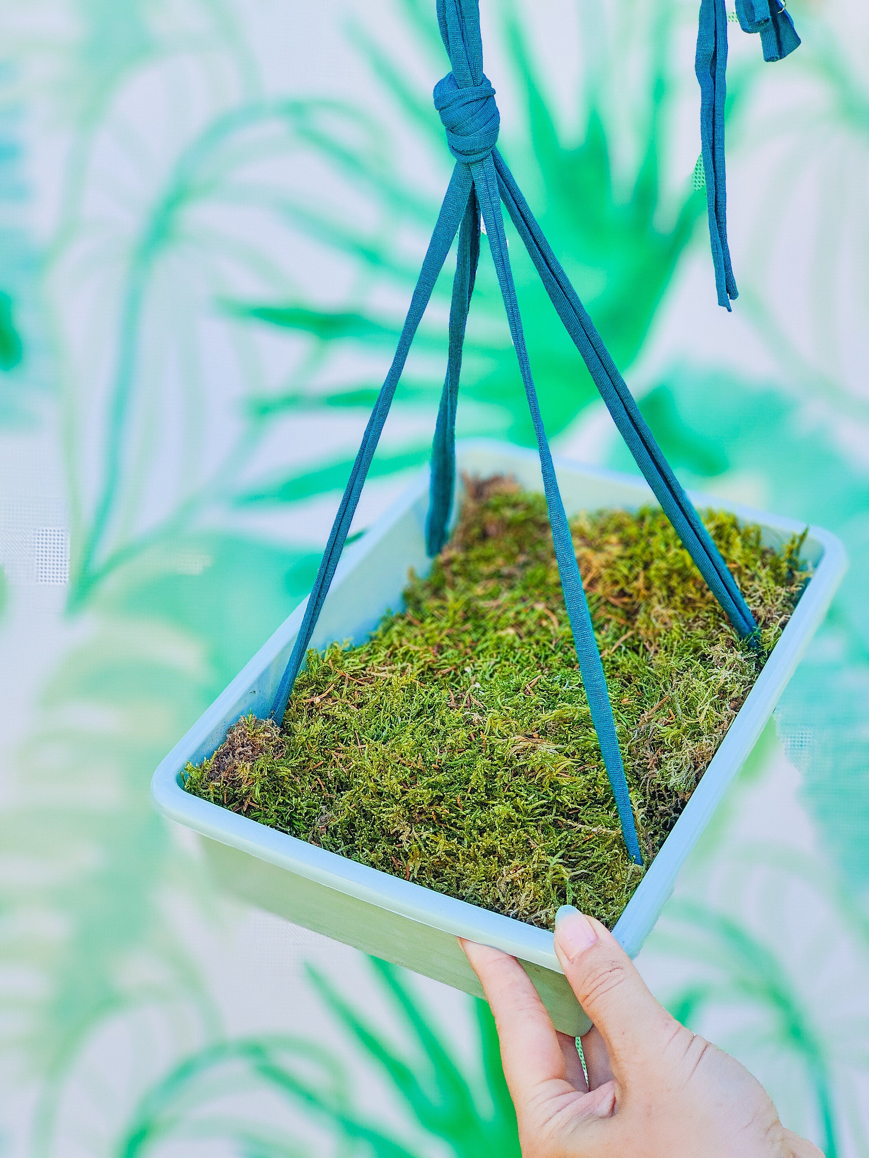 MUSGUÍN bandeja plástico