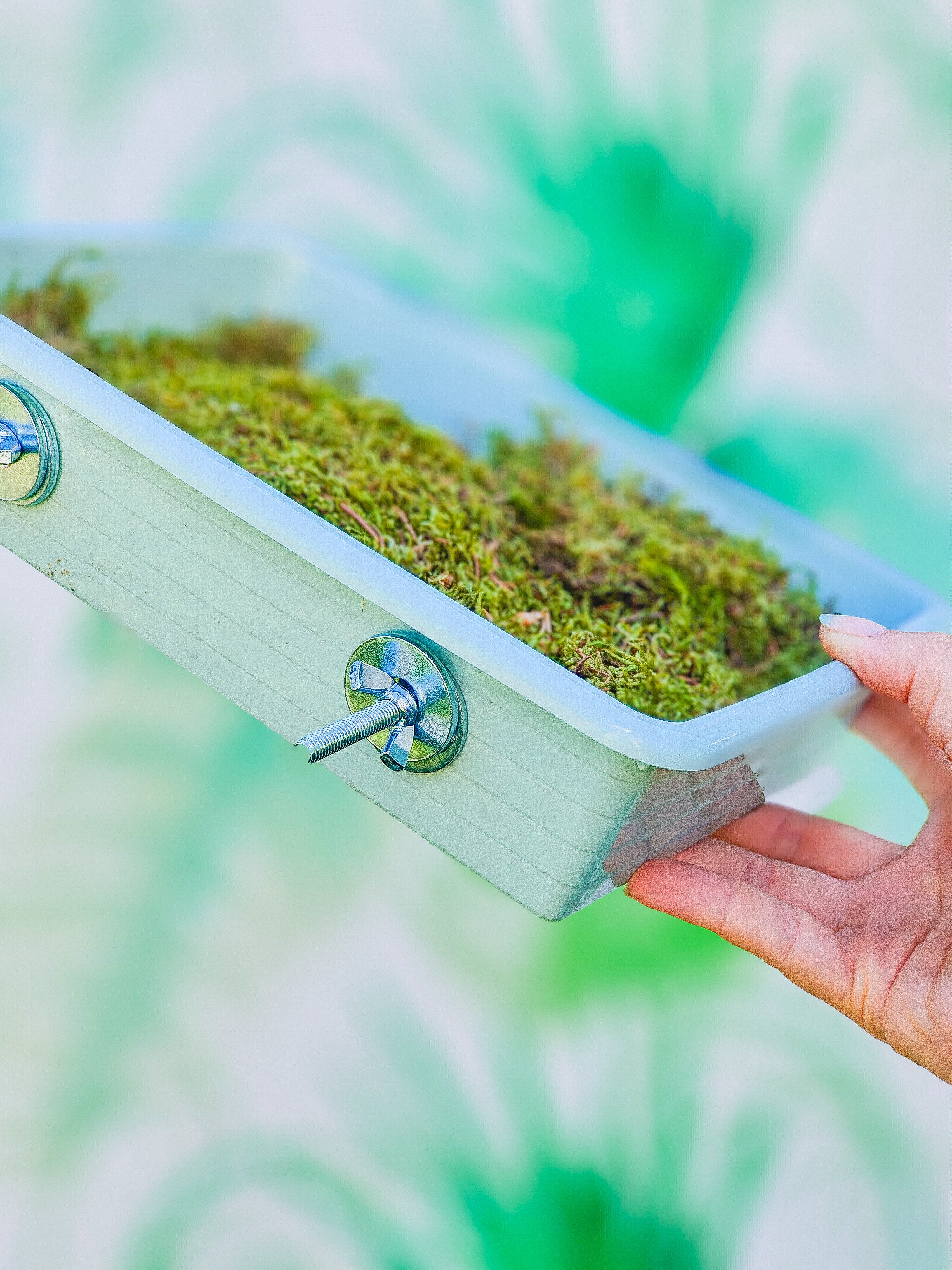 MUSGUÍN bandeja plástico