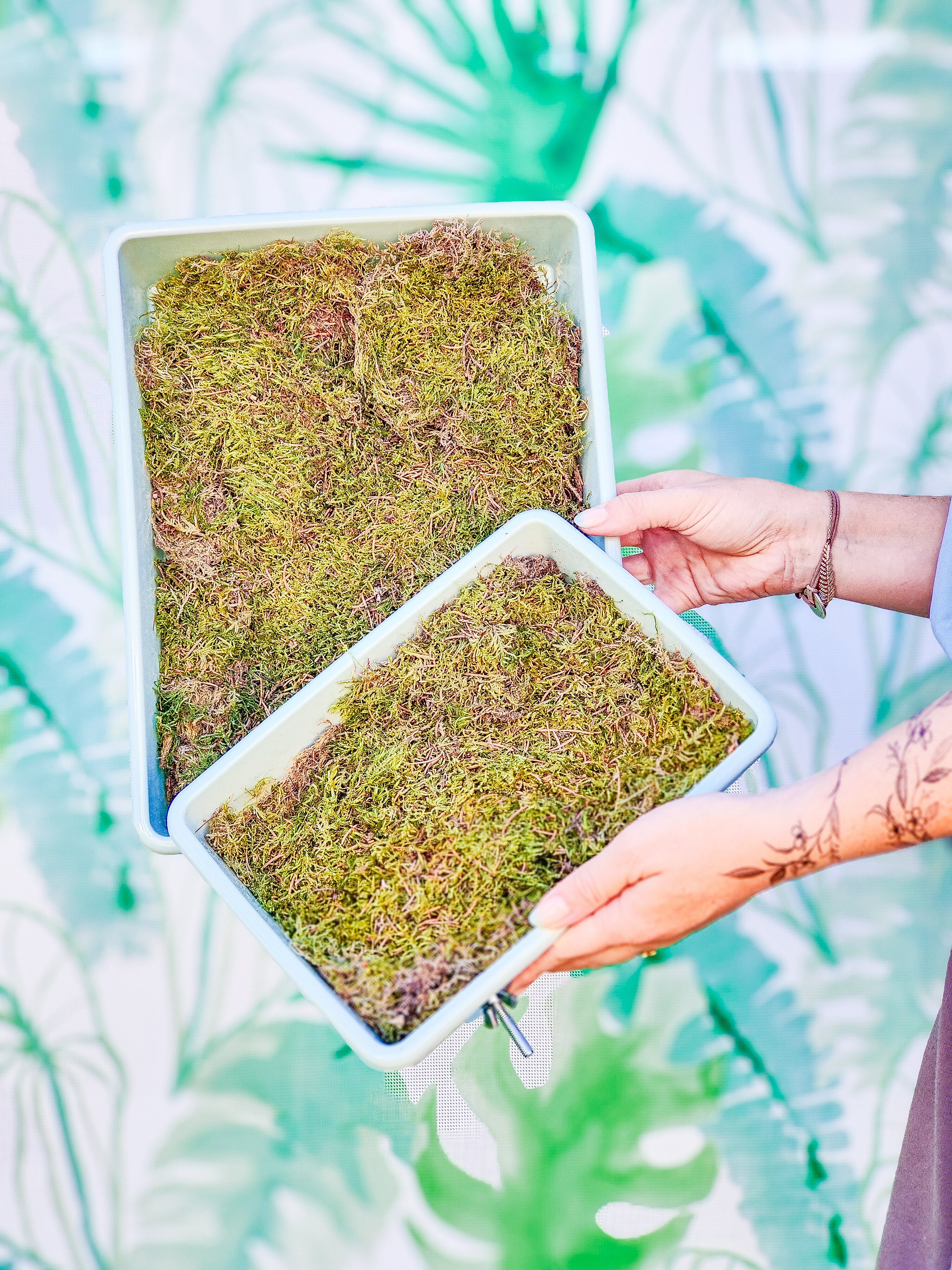 MUSGUÍN bandeja plástico