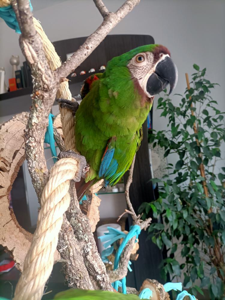 DISEÑO DE ESPACIOS | Percha vertical