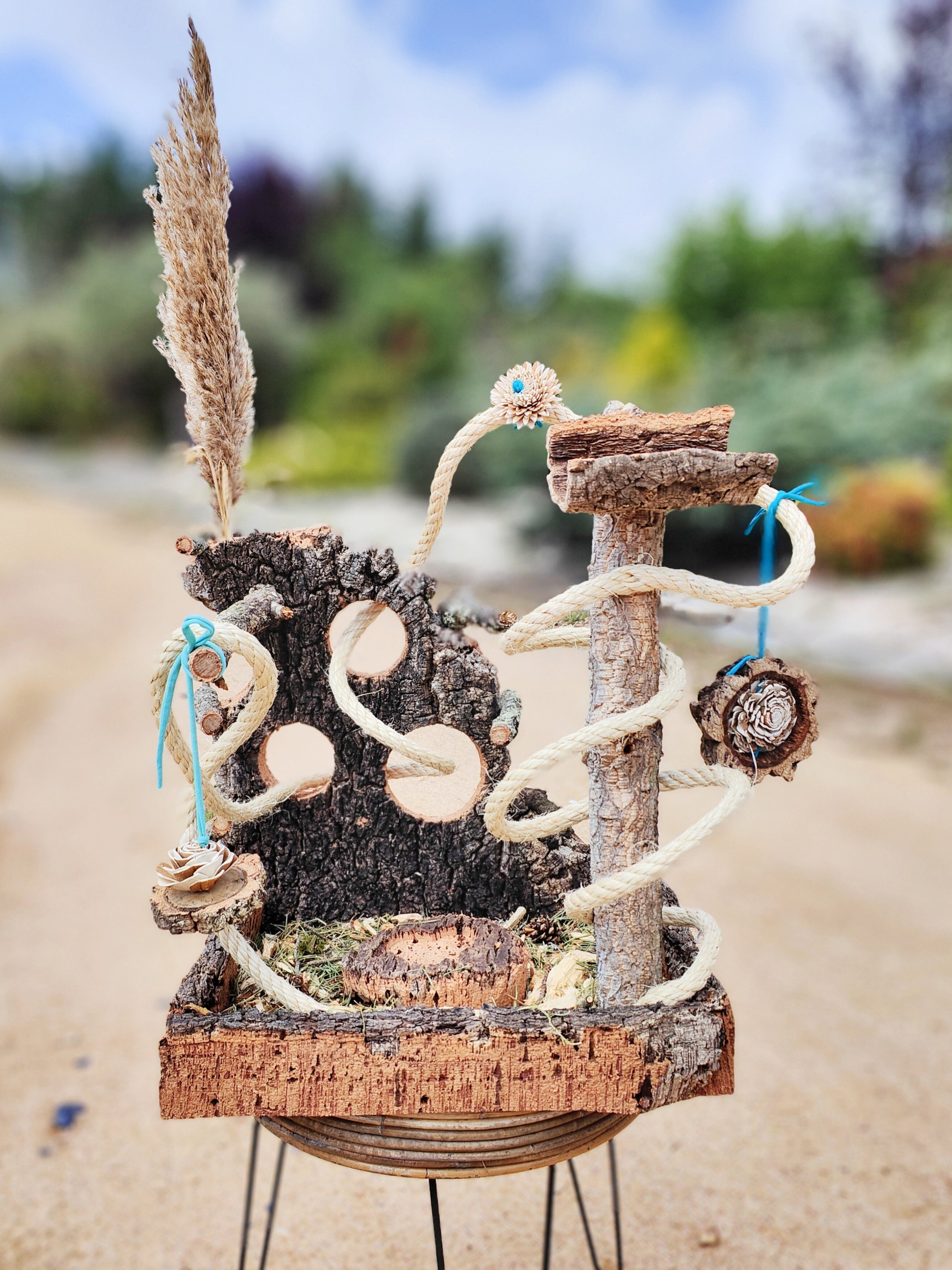 DISEÑO DE ESPACIOS | Parquecito