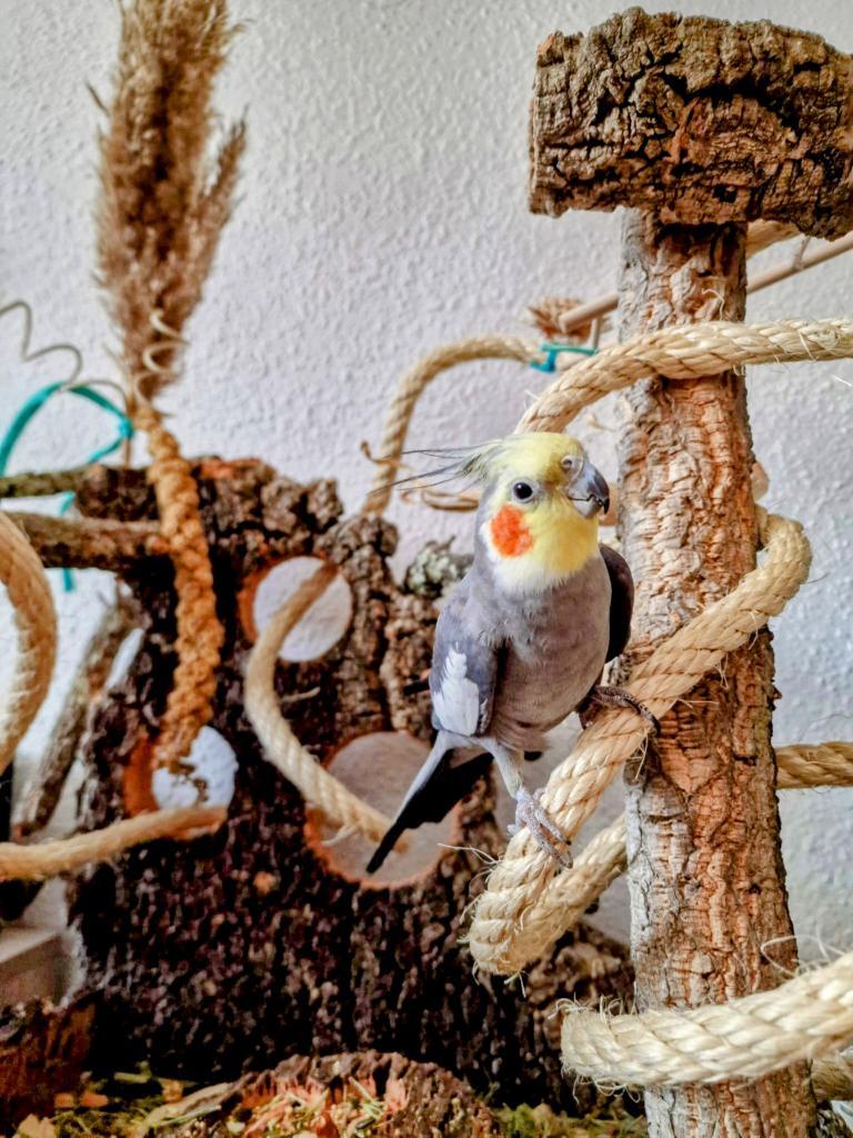 DISEÑO DE ESPACIOS | Parquecito