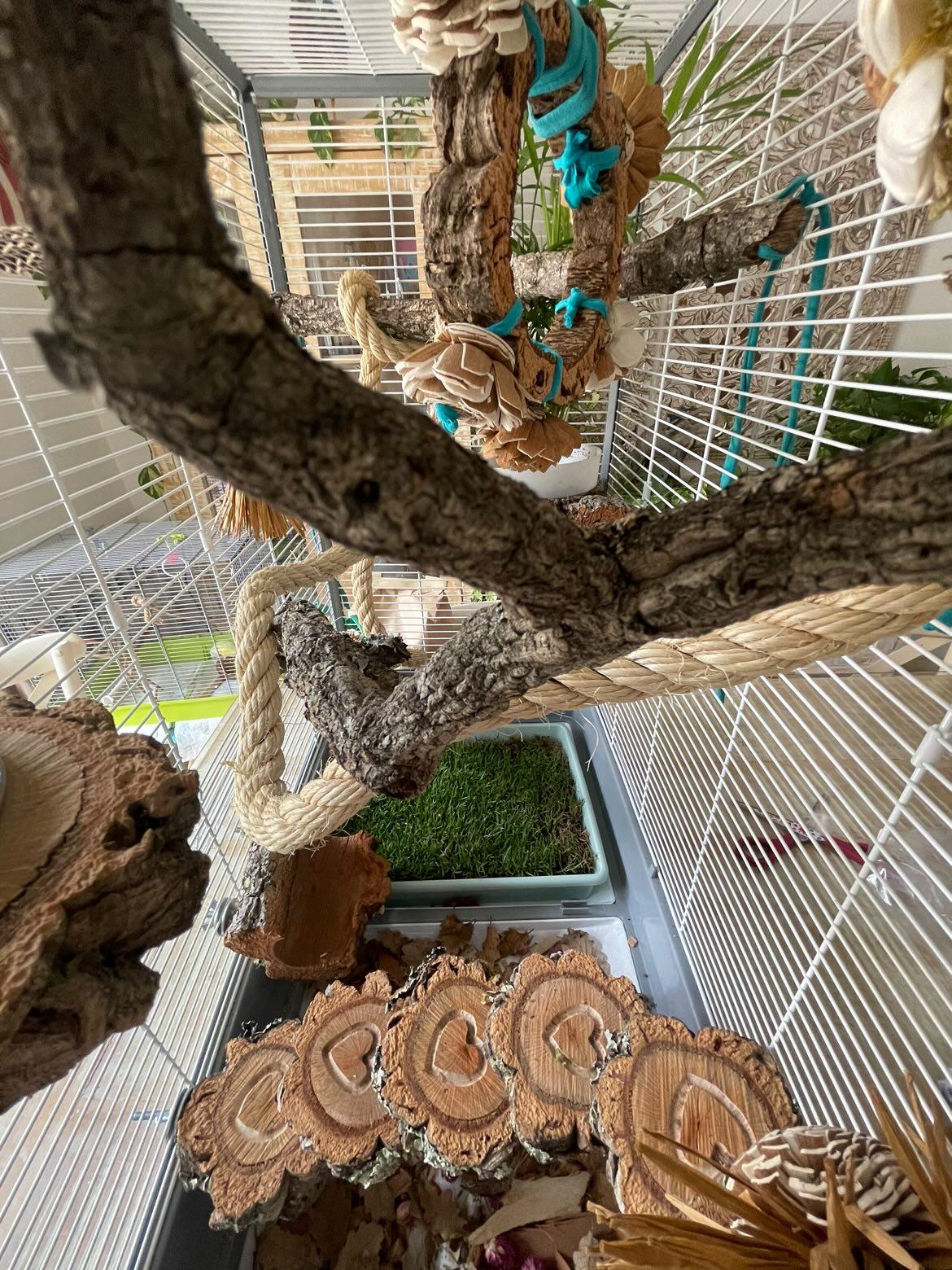 DISEÑO DE ESPACIOS | Jaula