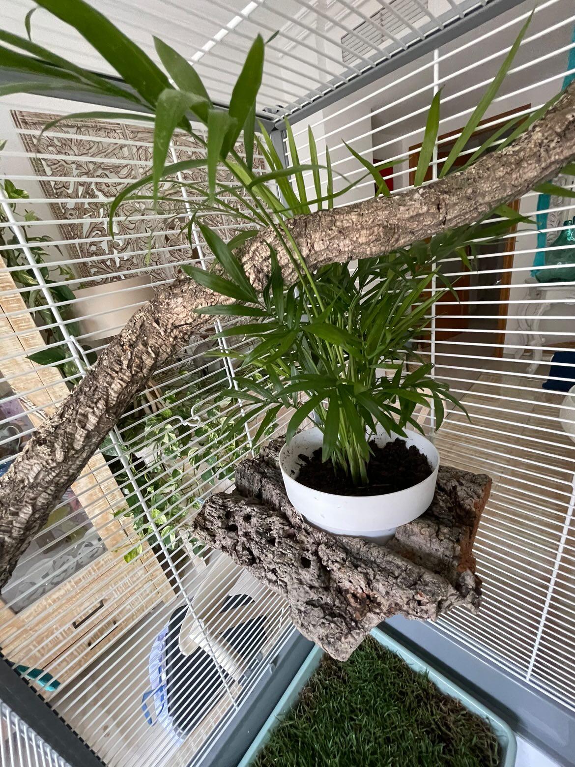 DISEÑO DE ESPACIOS | Jaula