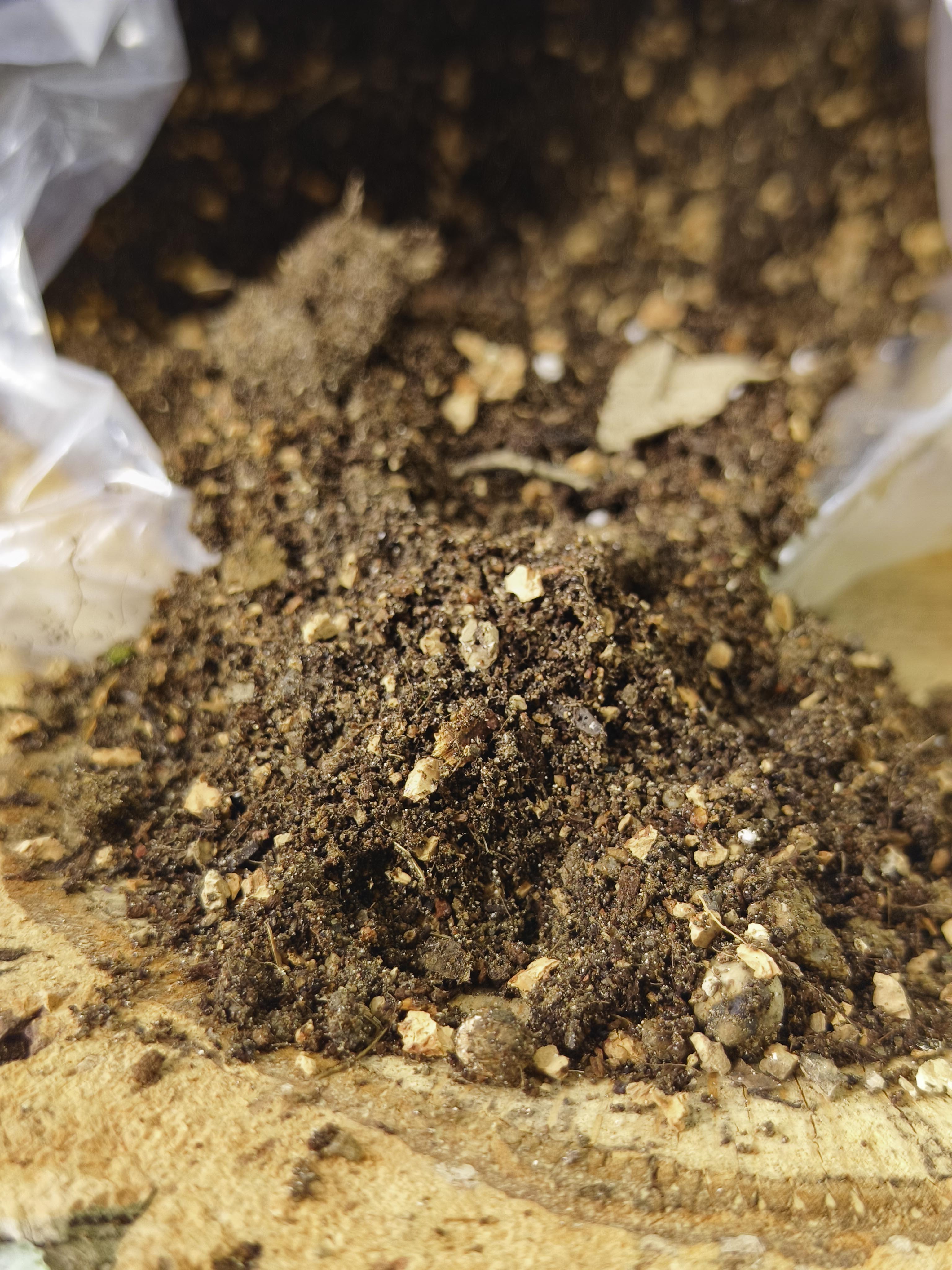 Sustrato plantas 100% orgánico