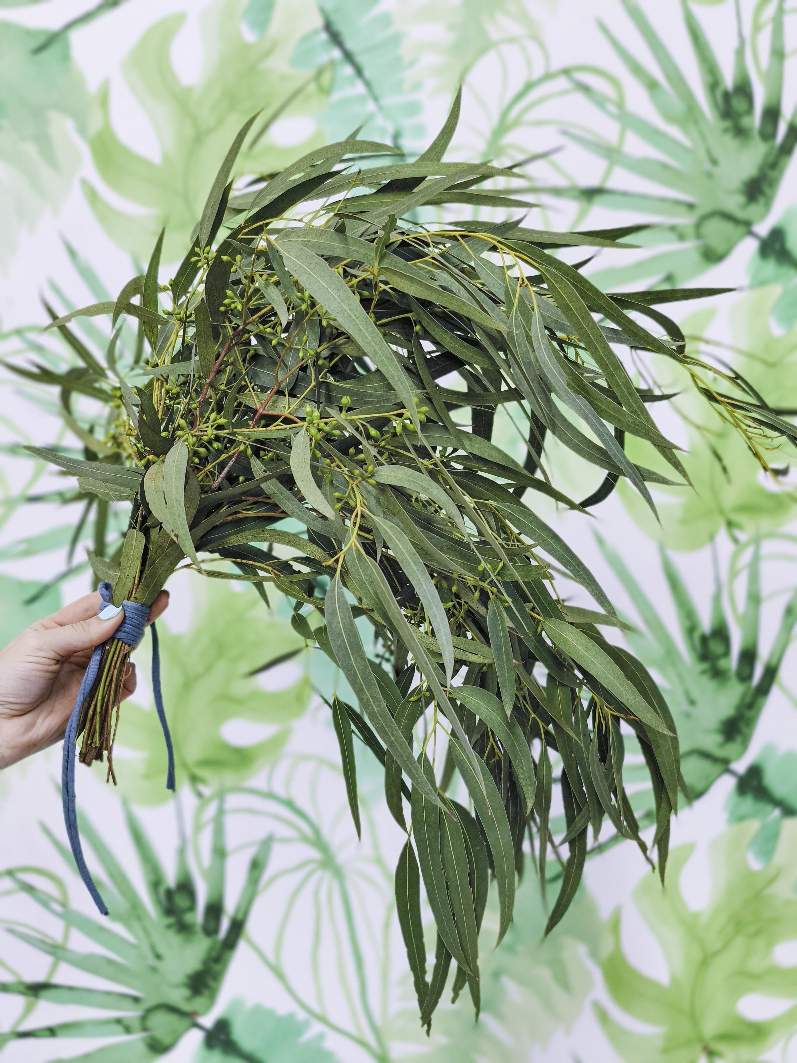 RAMILLETE HOJAS FRESCAS (eucalipto)