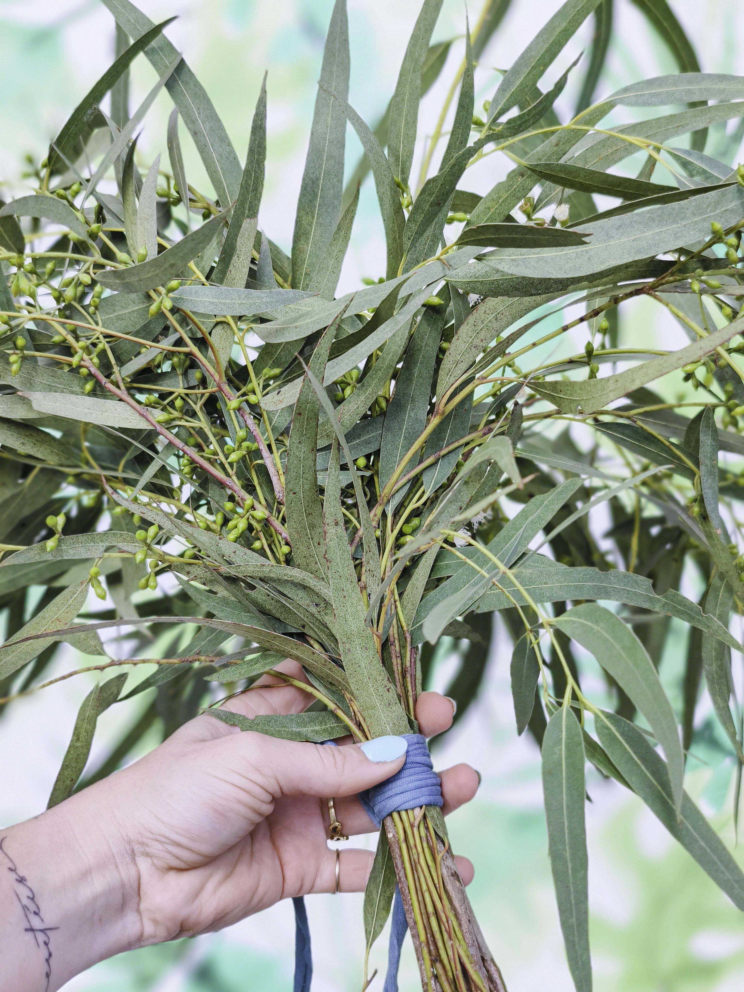 RAMILLETE HOJAS FRESCAS (eucalipto)