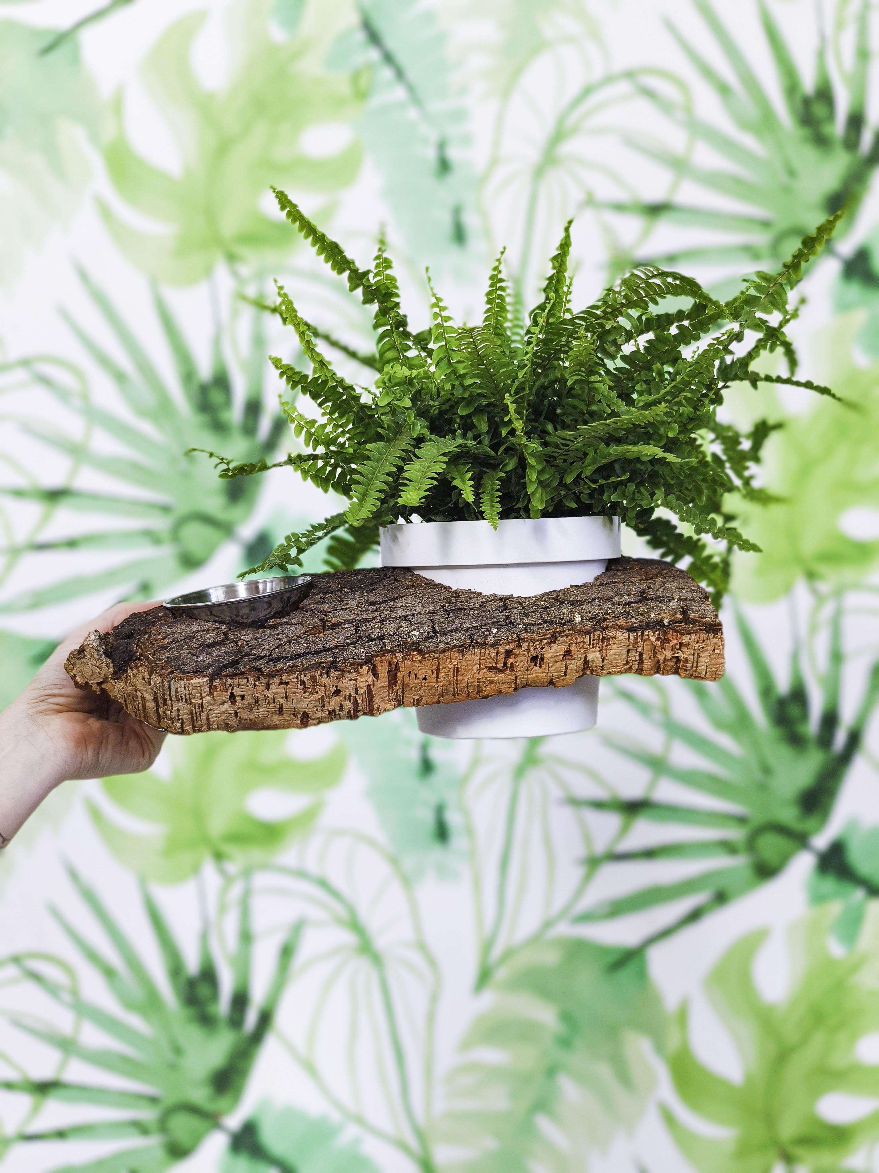 PLANTÍN soporte con planta y comedero