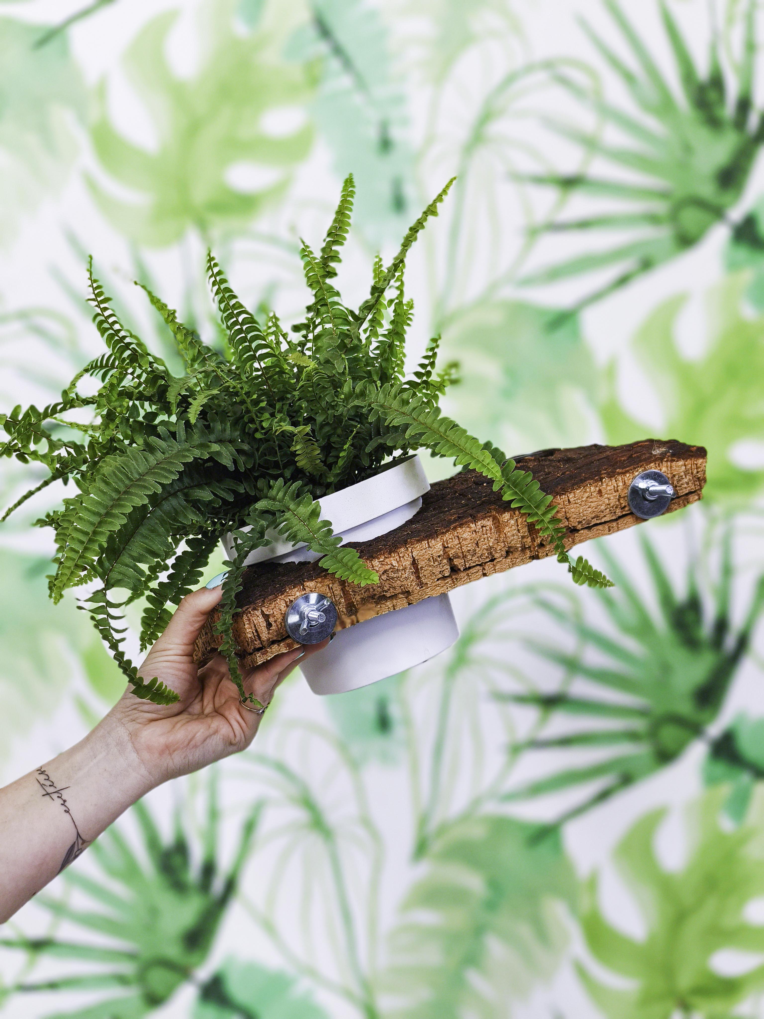 PLANTÍN soporte con planta y comedero