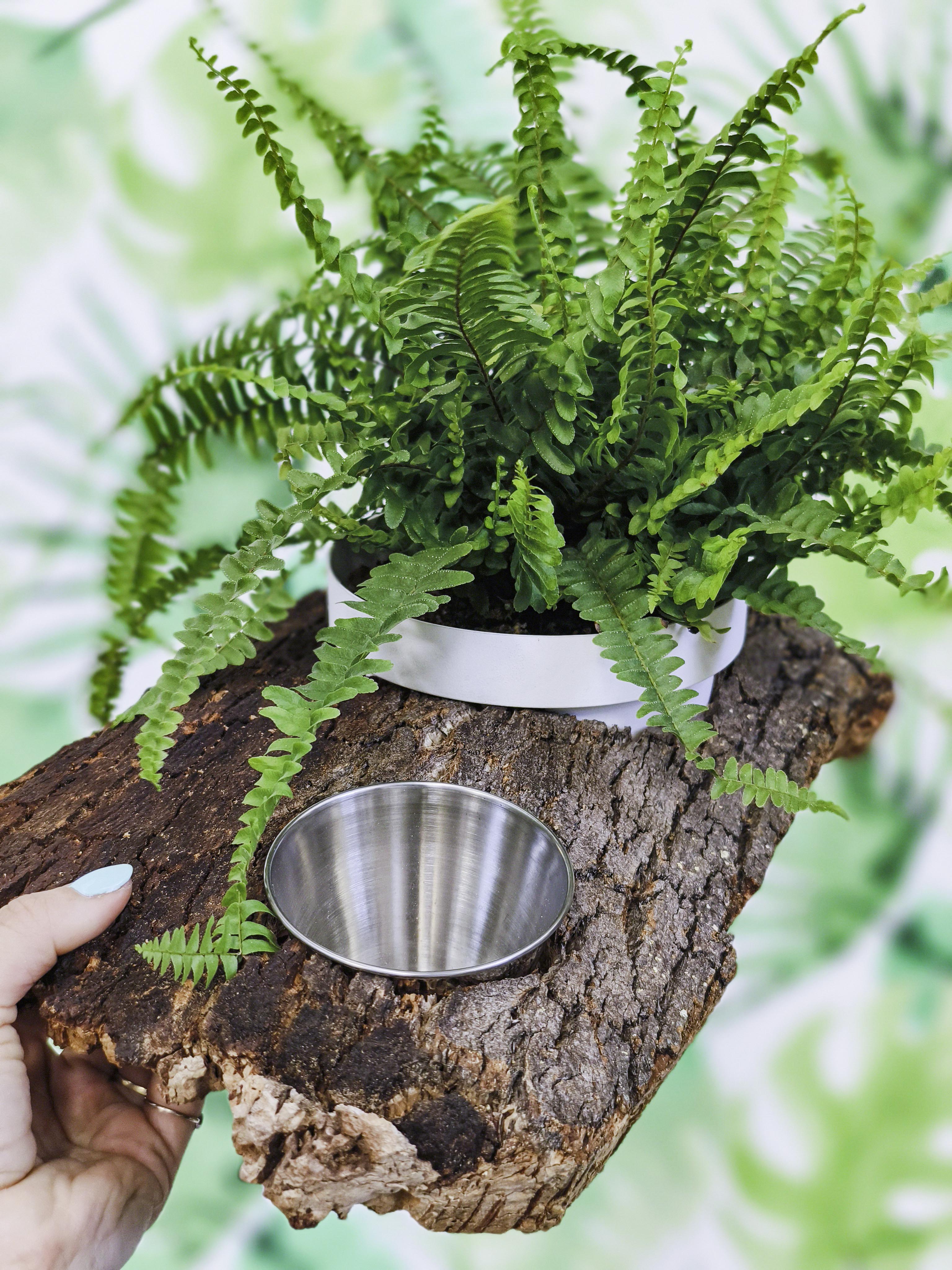 PLANTÍN soporte con planta y comedero