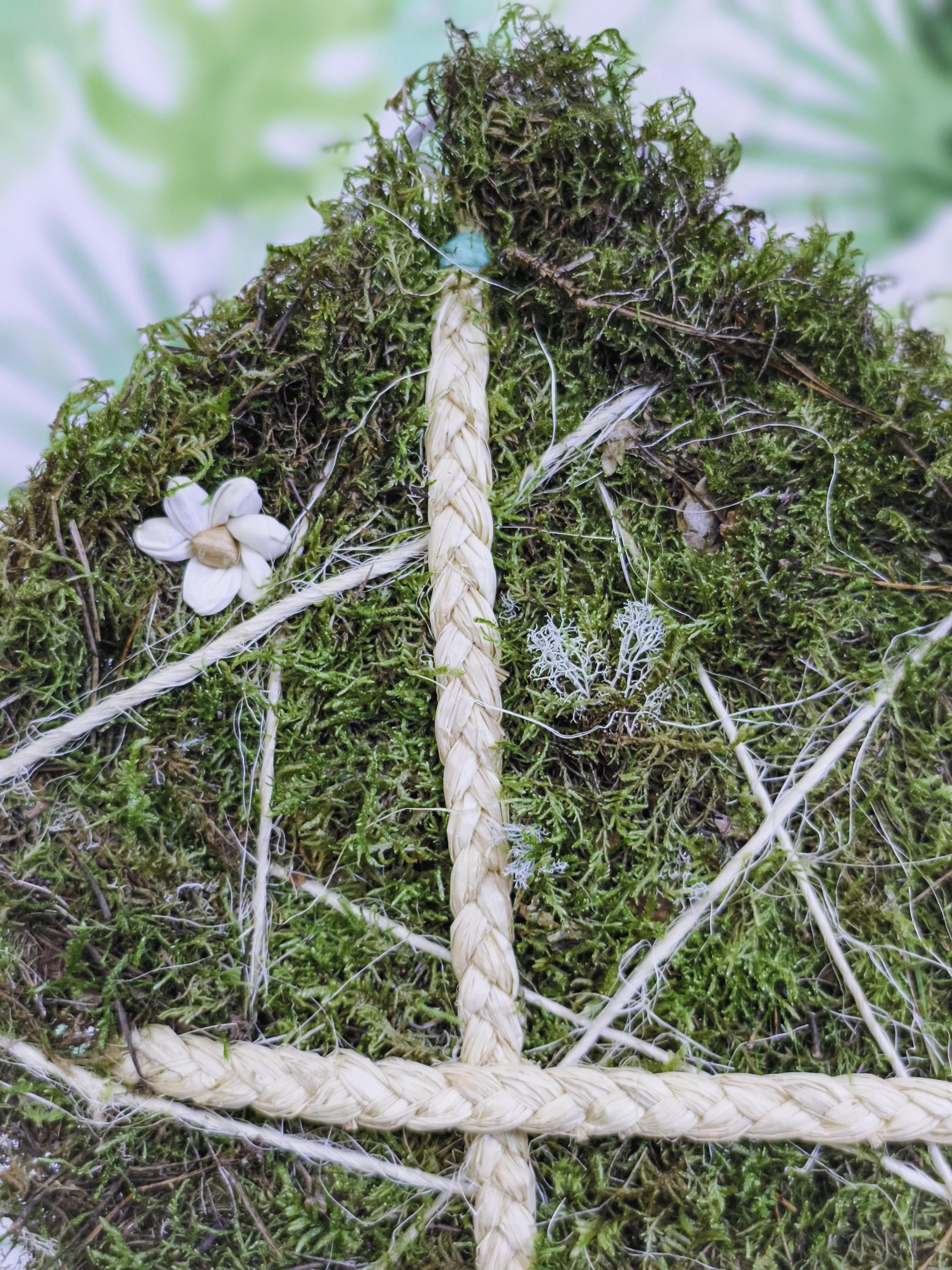 EL JARDÍN VERTICAL DE SARA