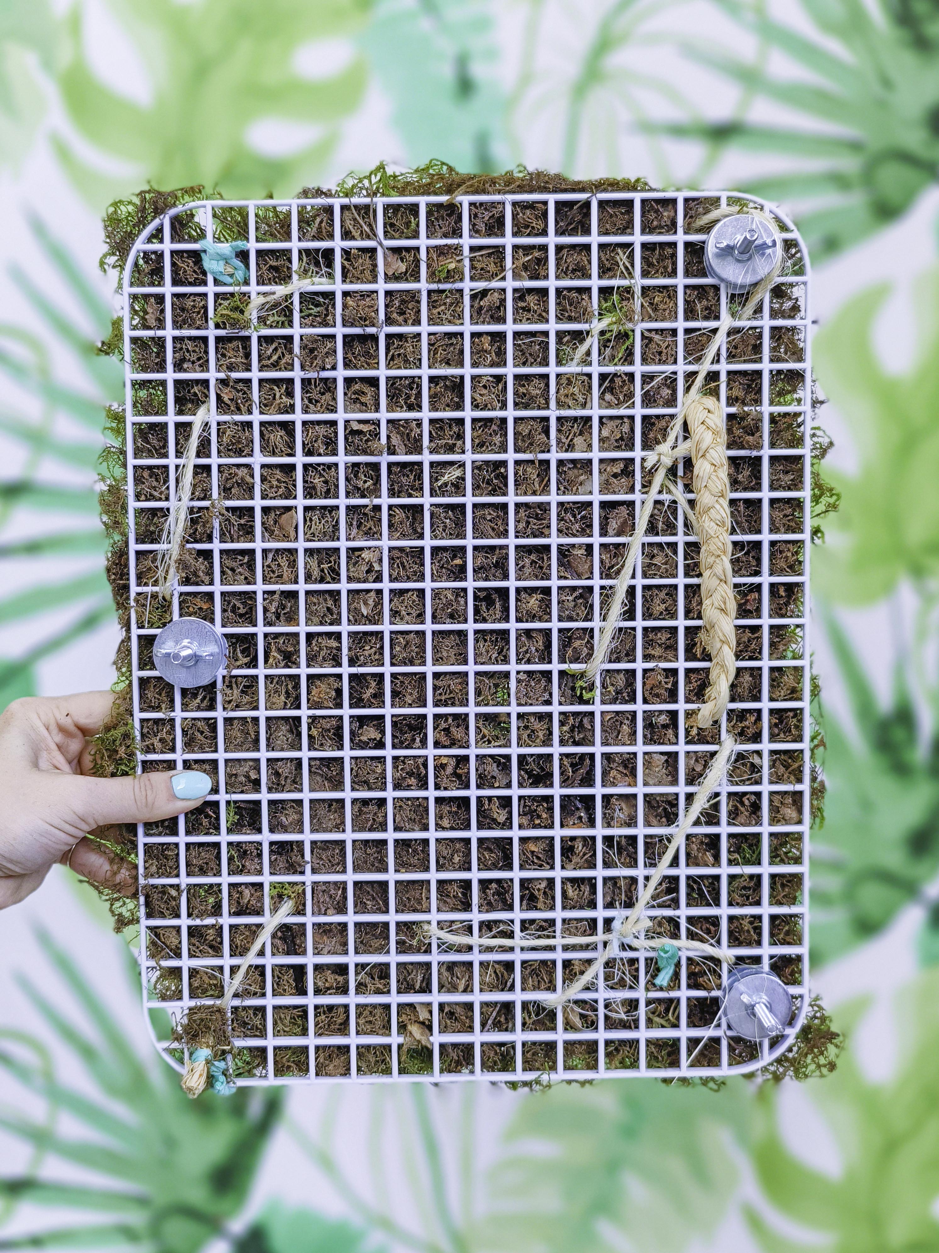 EL JARDÍN VERTICAL DE SARA