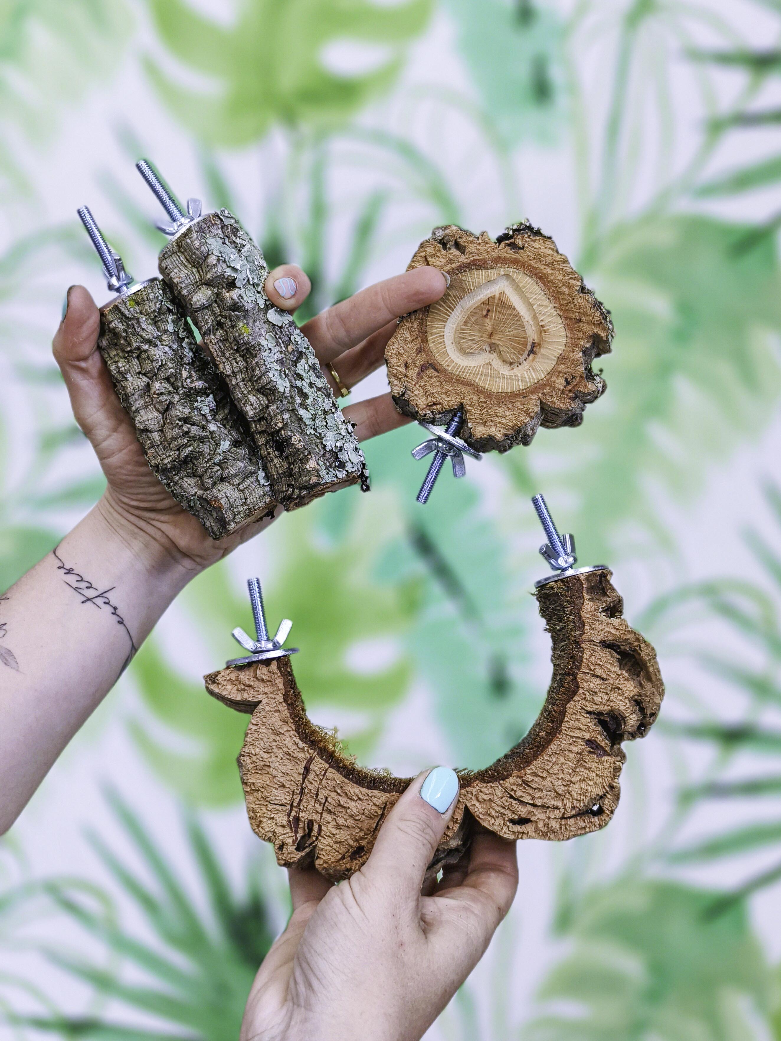 EL JARDÍN VERTICAL DE SARA