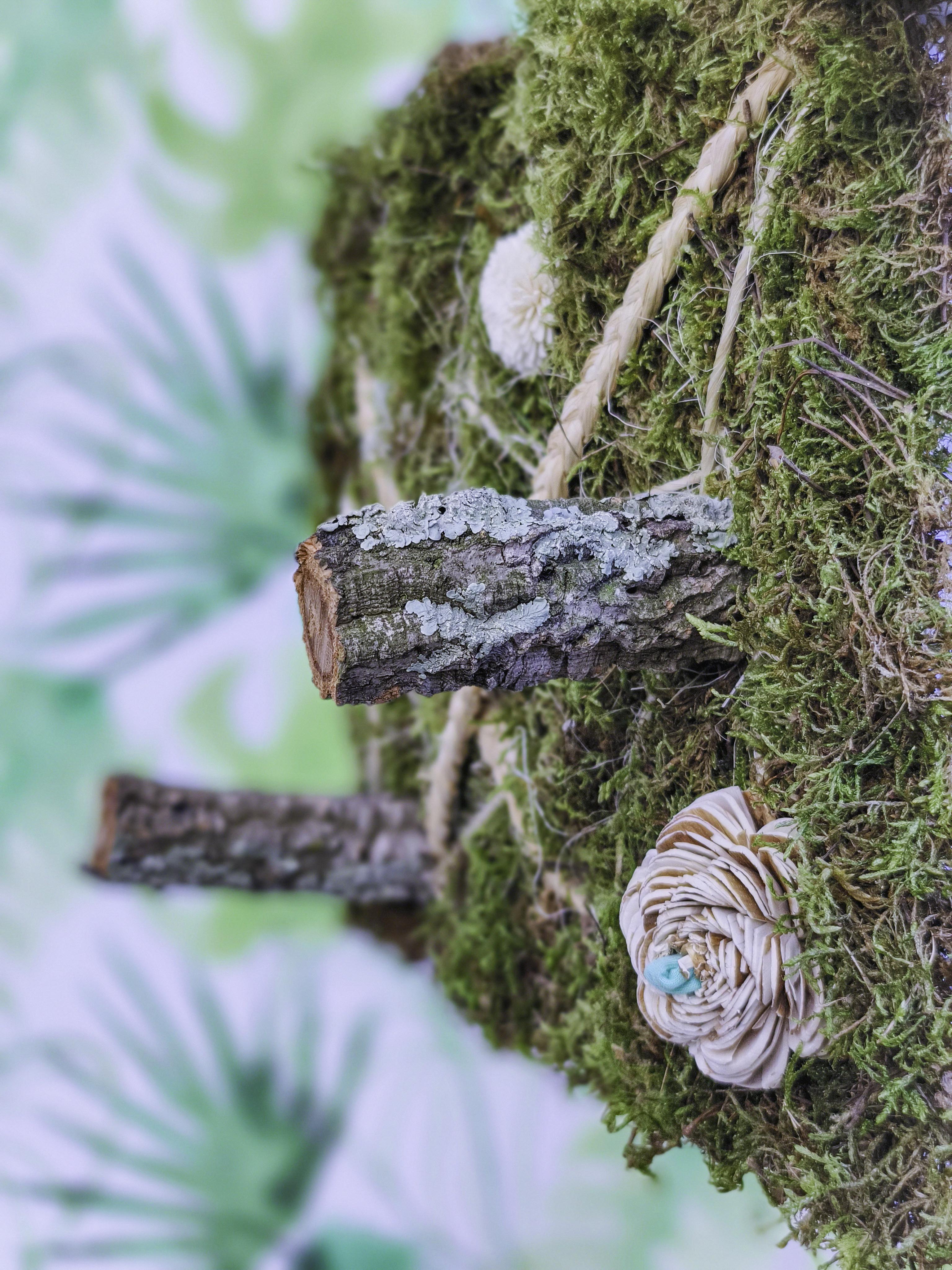 EL JARDÍN VERTICAL DE SARA