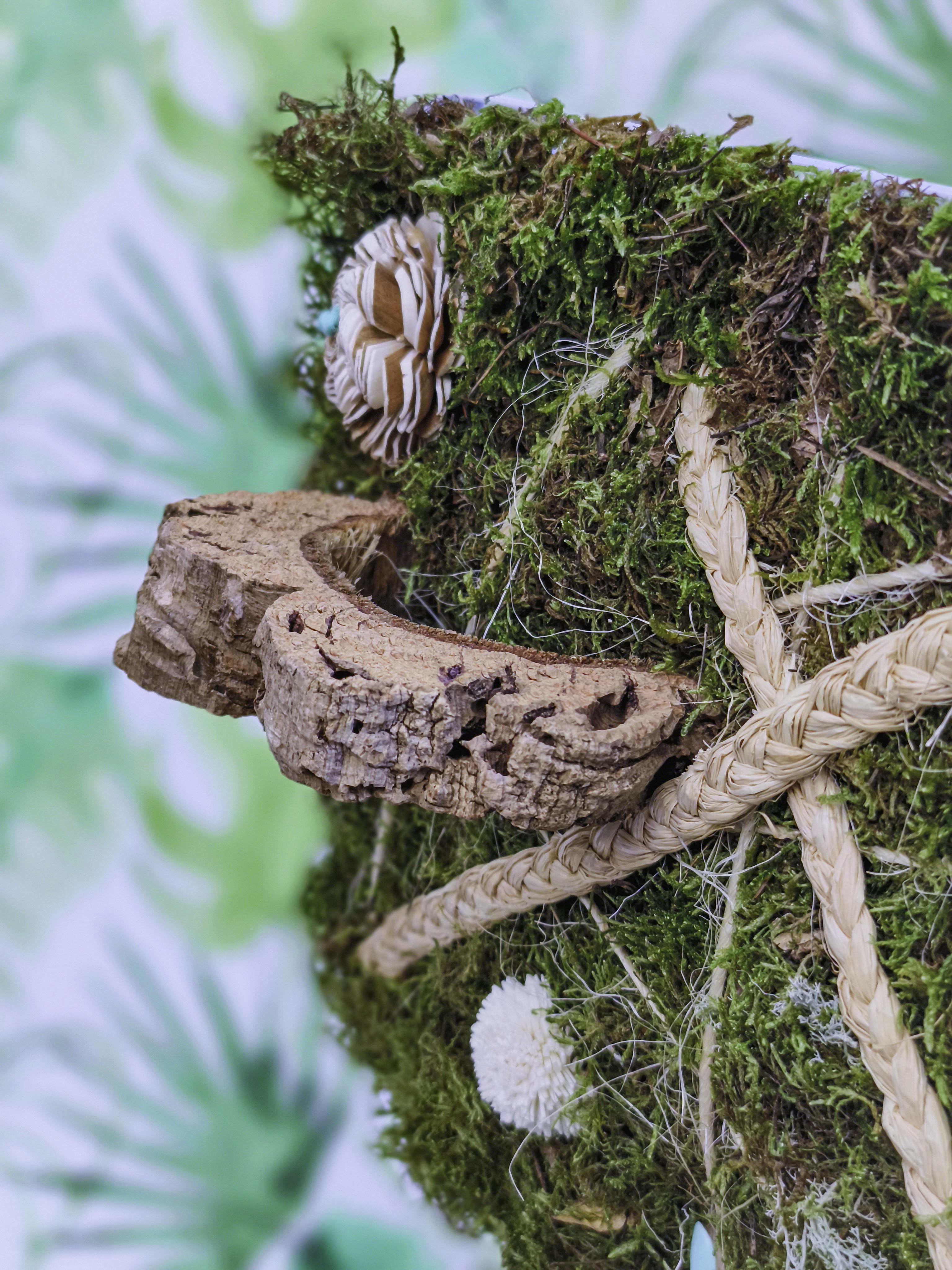 EL JARDÍN VERTICAL DE SARA