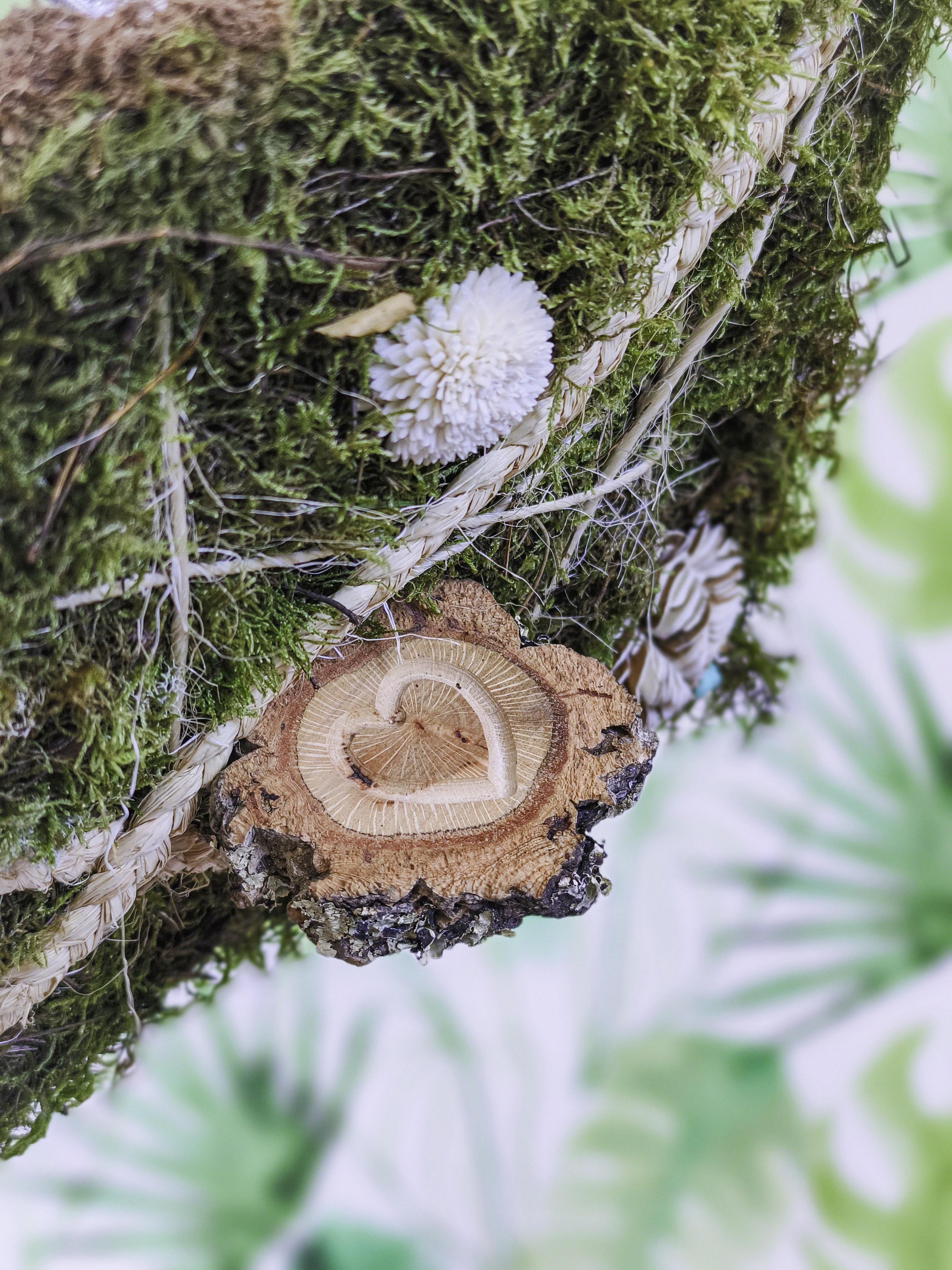 EL JARDÍN VERTICAL DE SARA