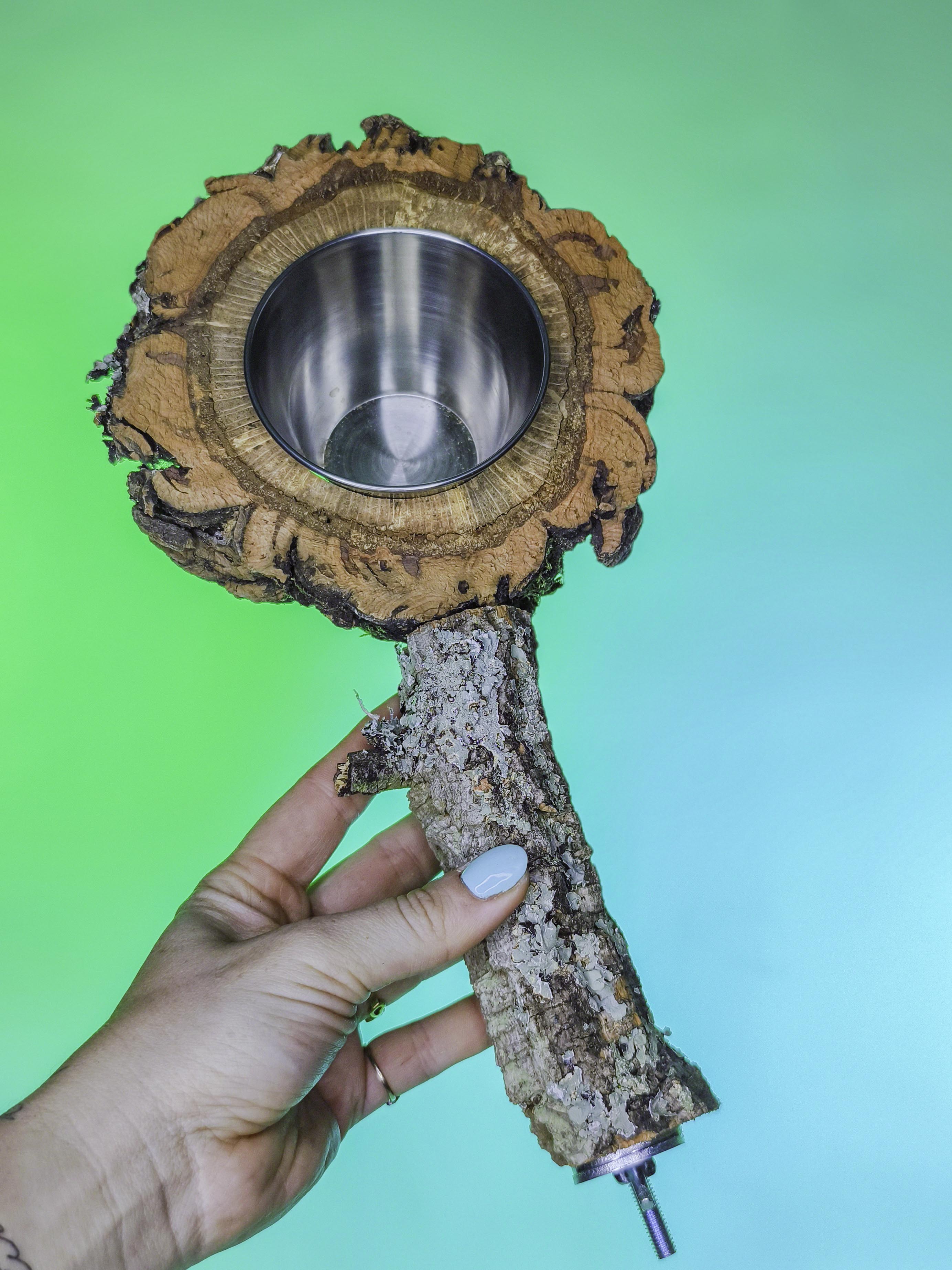 COMEDERO DISCO EN RAMA