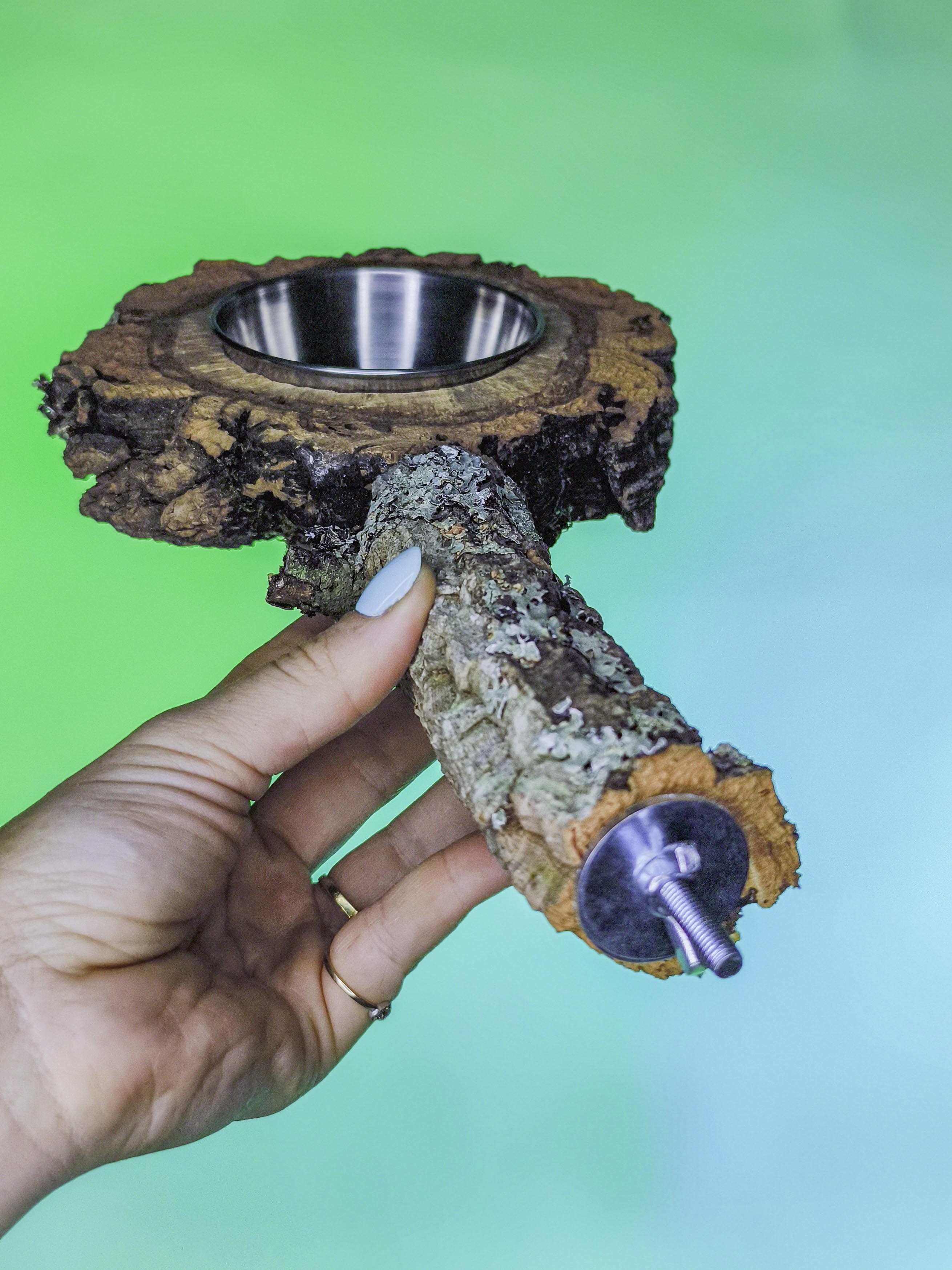 COMEDERO DISCO EN RAMA