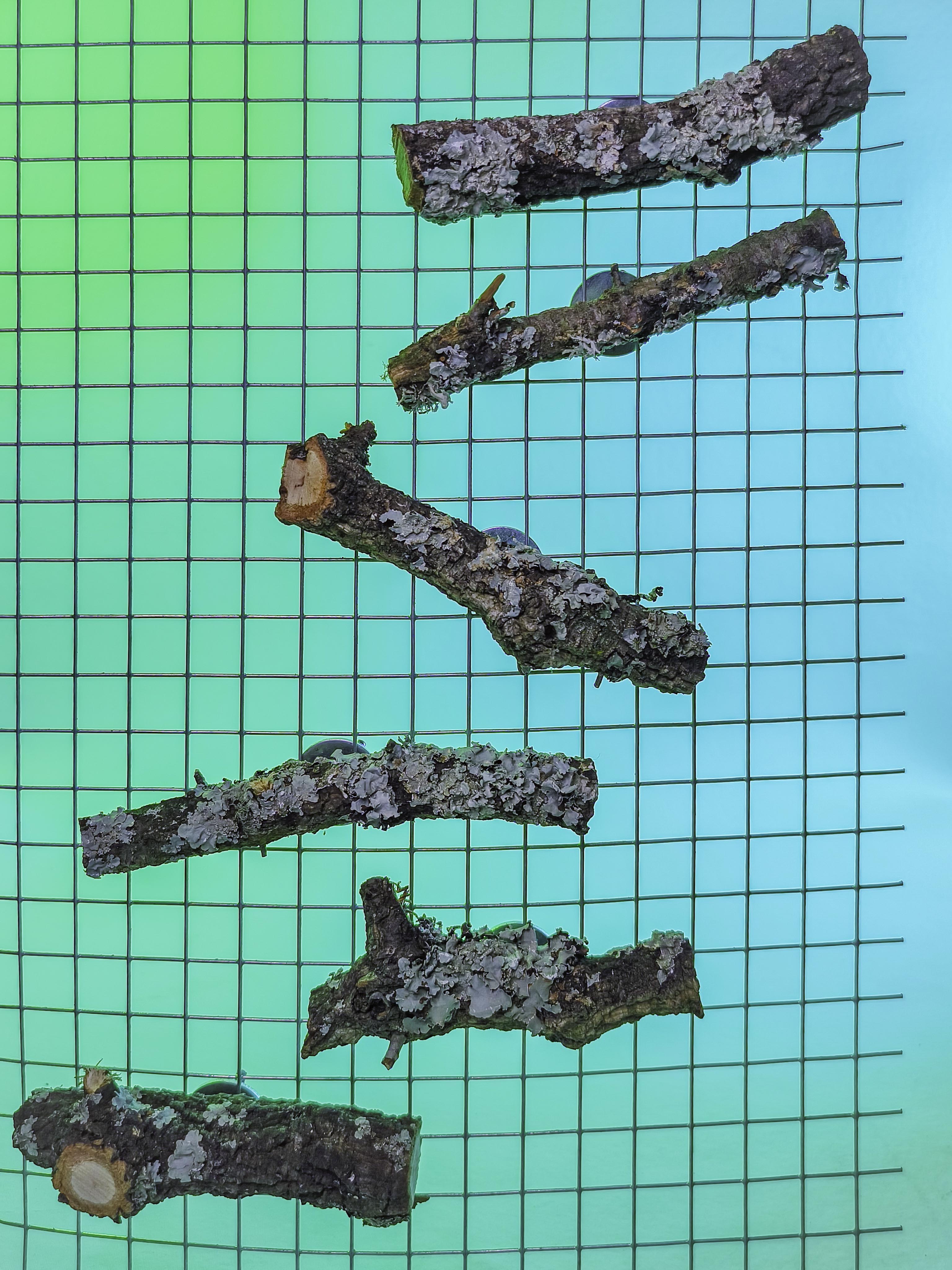 RAMITAS ESCALERA MURAL