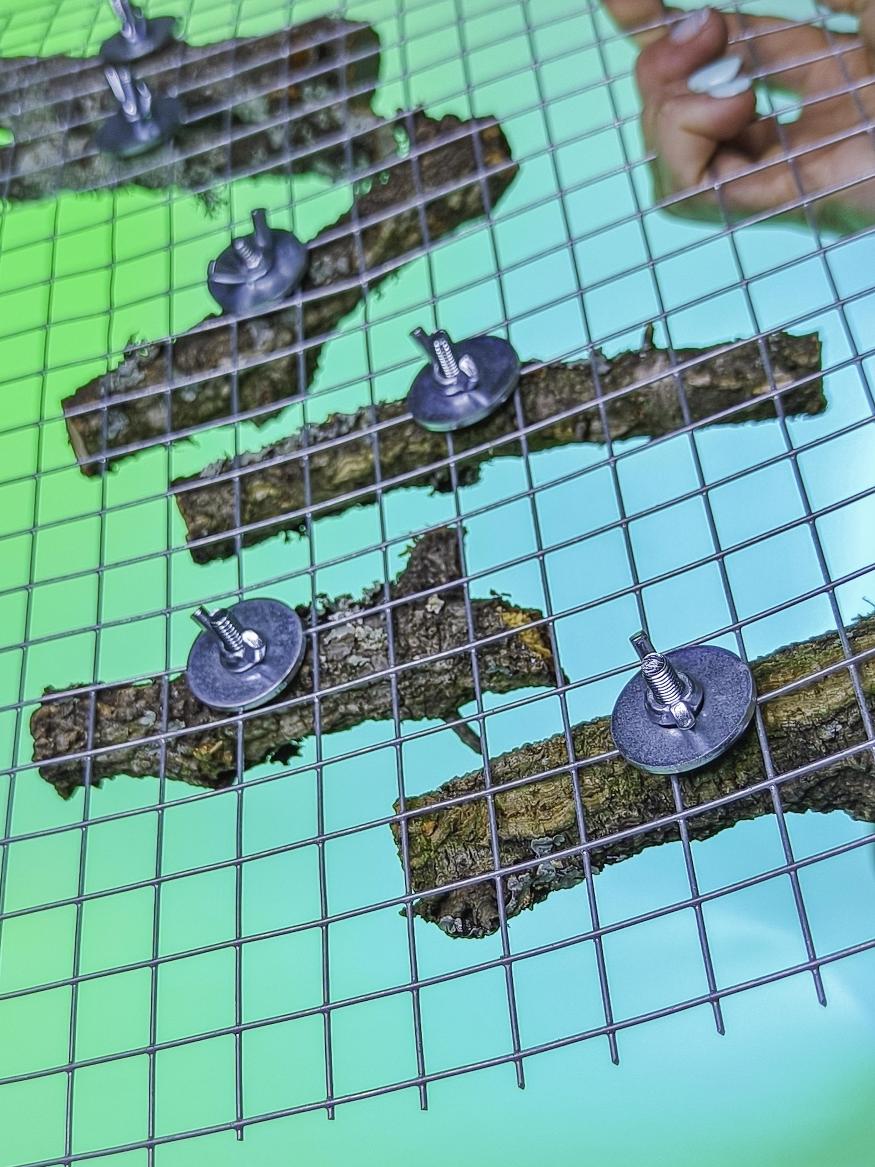 RAMITAS ESCALERA MURAL