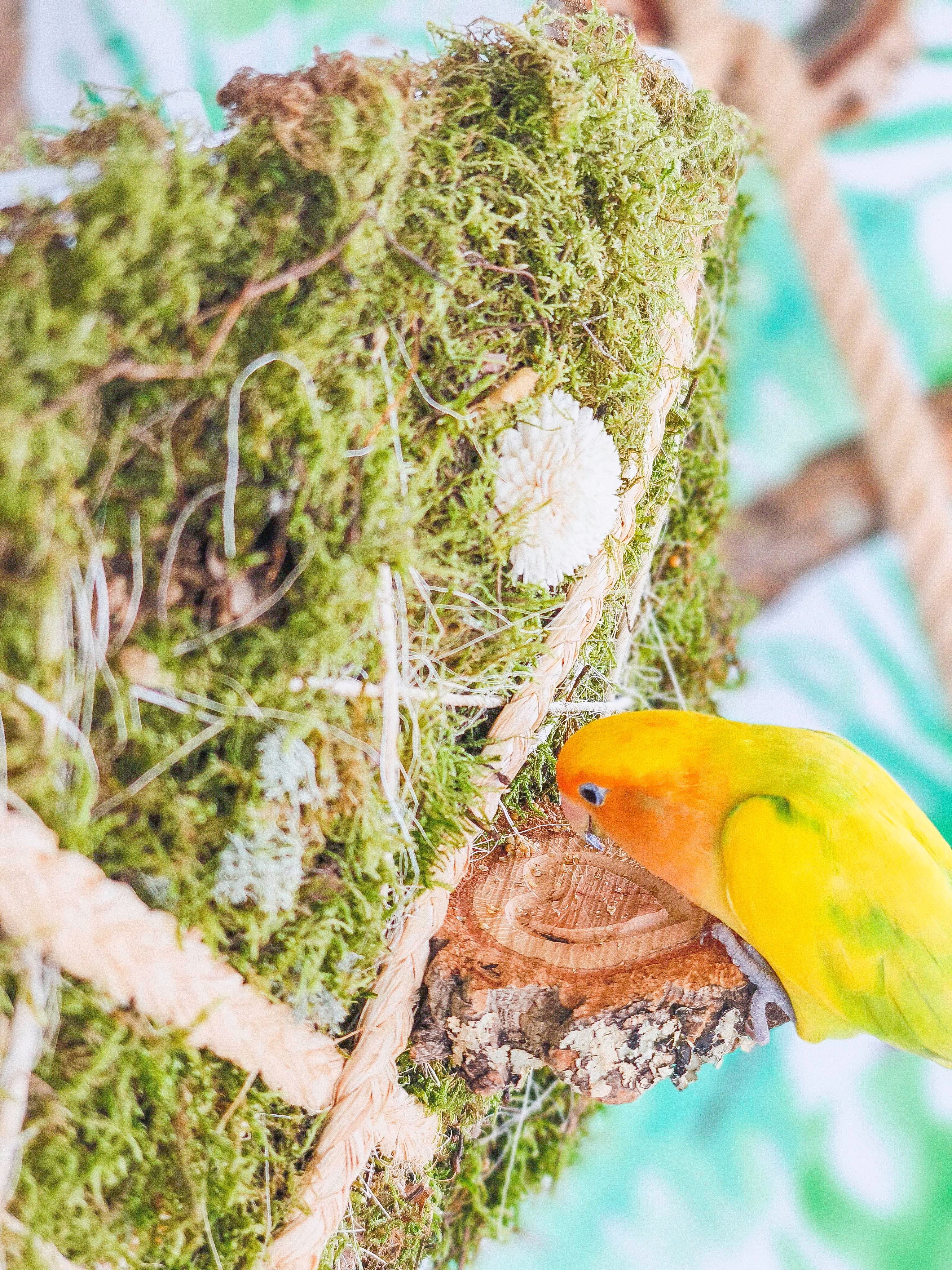 EL JARDÍN VERTICAL DE SARA