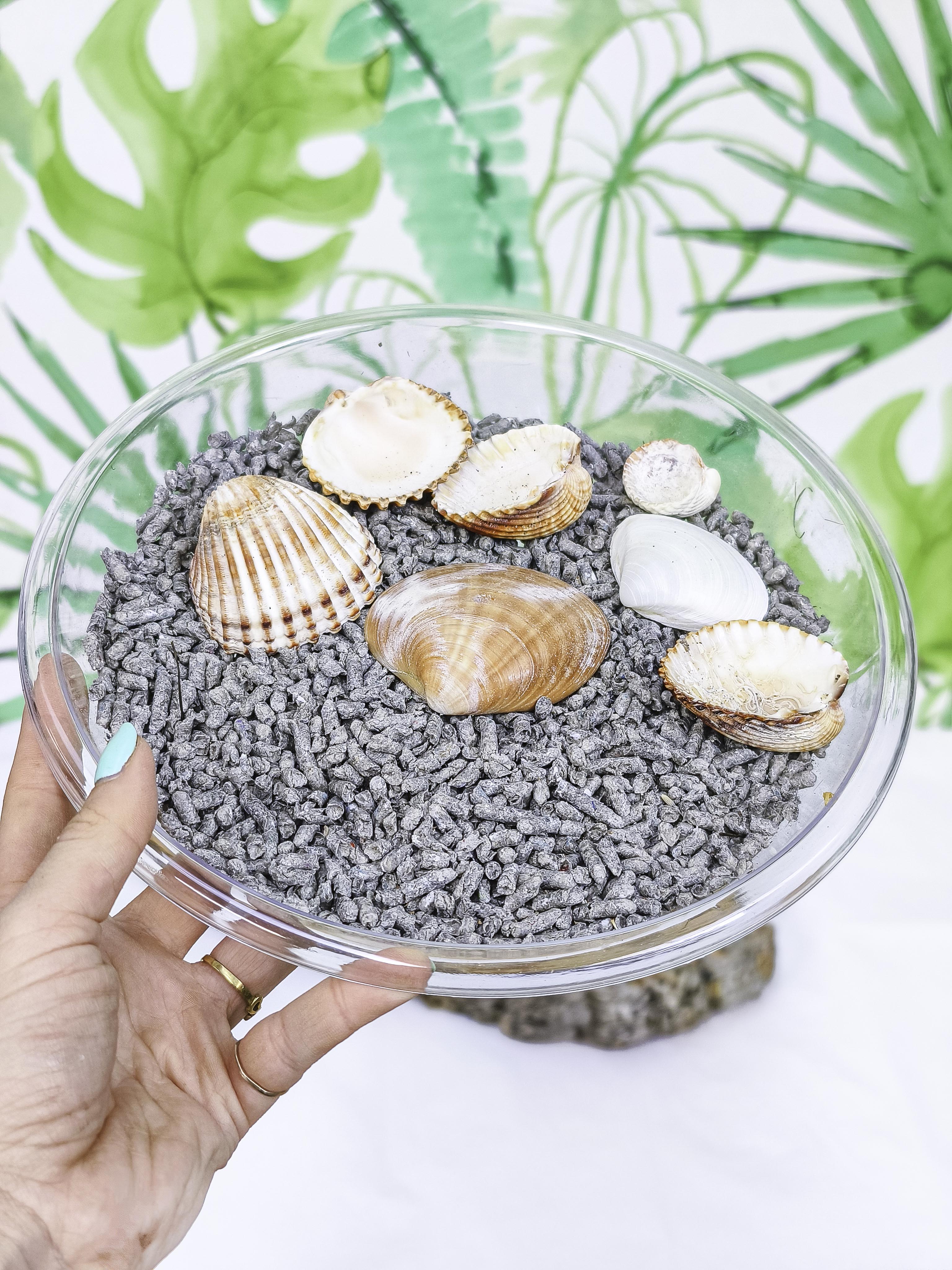 Sustrato papel prensado ORYCS LITTER