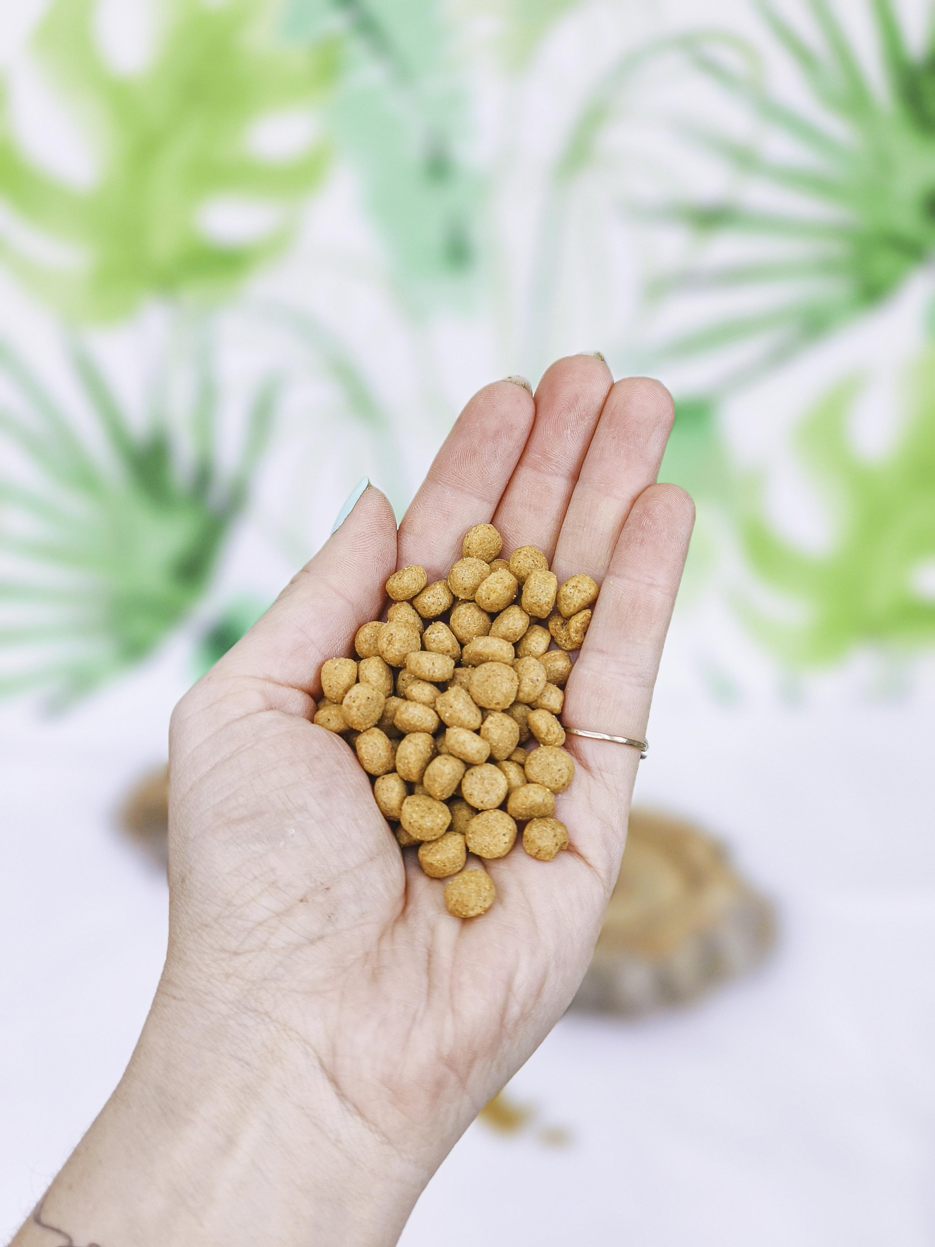 PIENSO Psittacus Alta Proteína