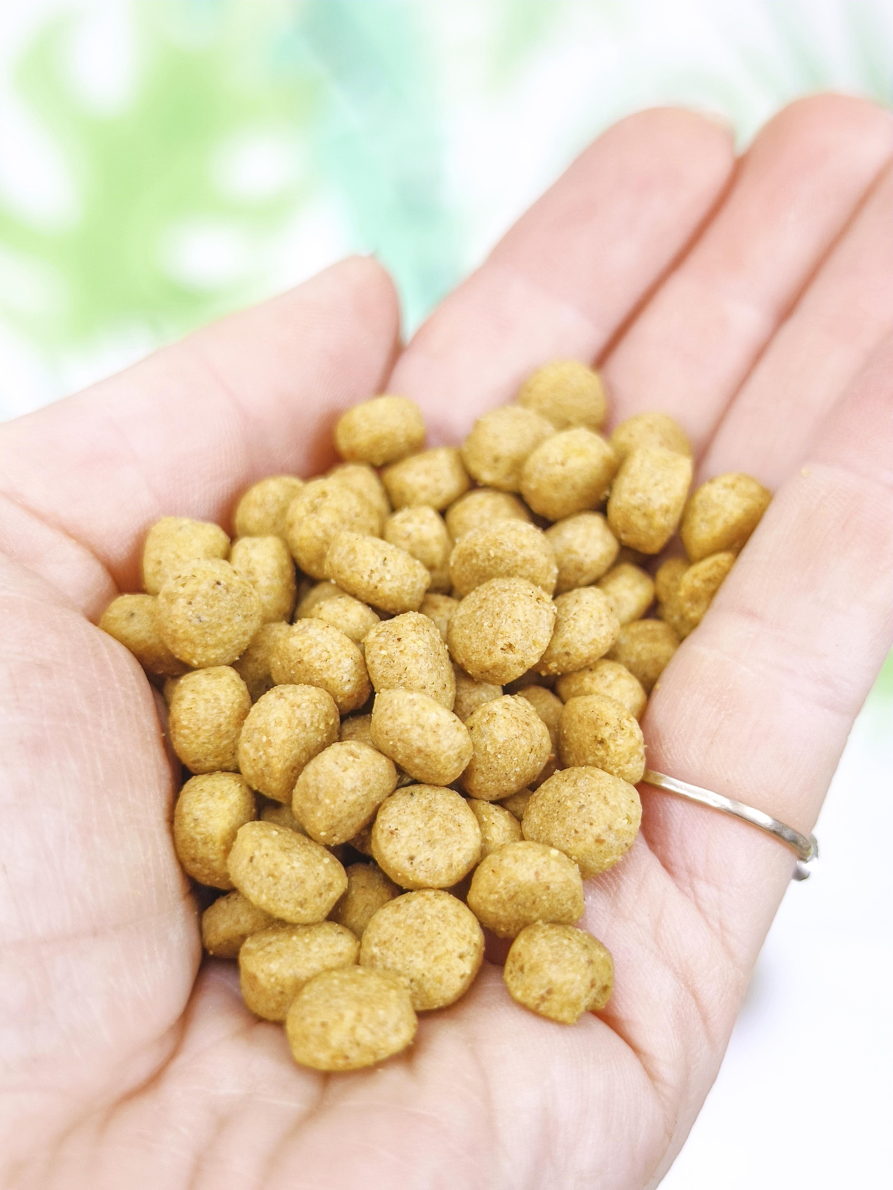 PIENSO Psittacus Alta Proteína