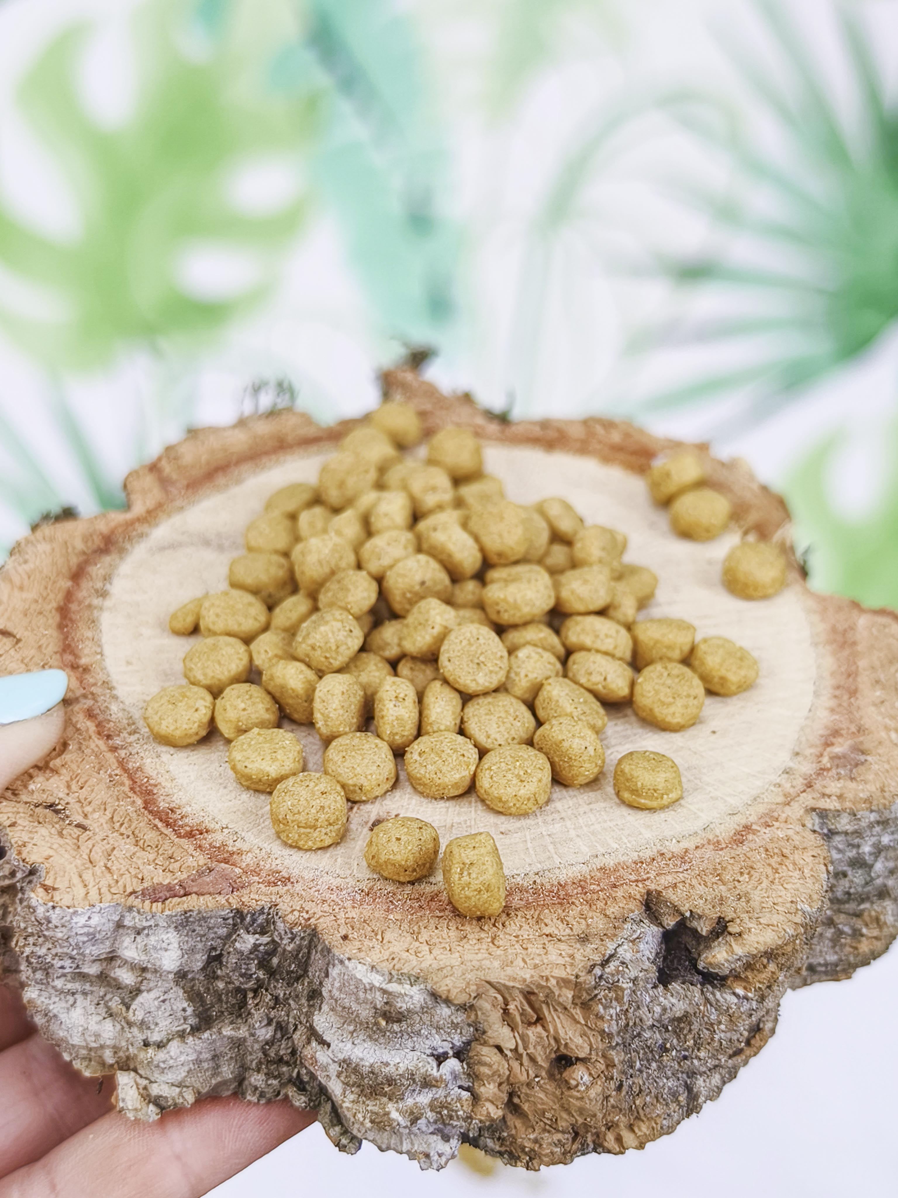 PIENSO Psittacus Alta Proteína