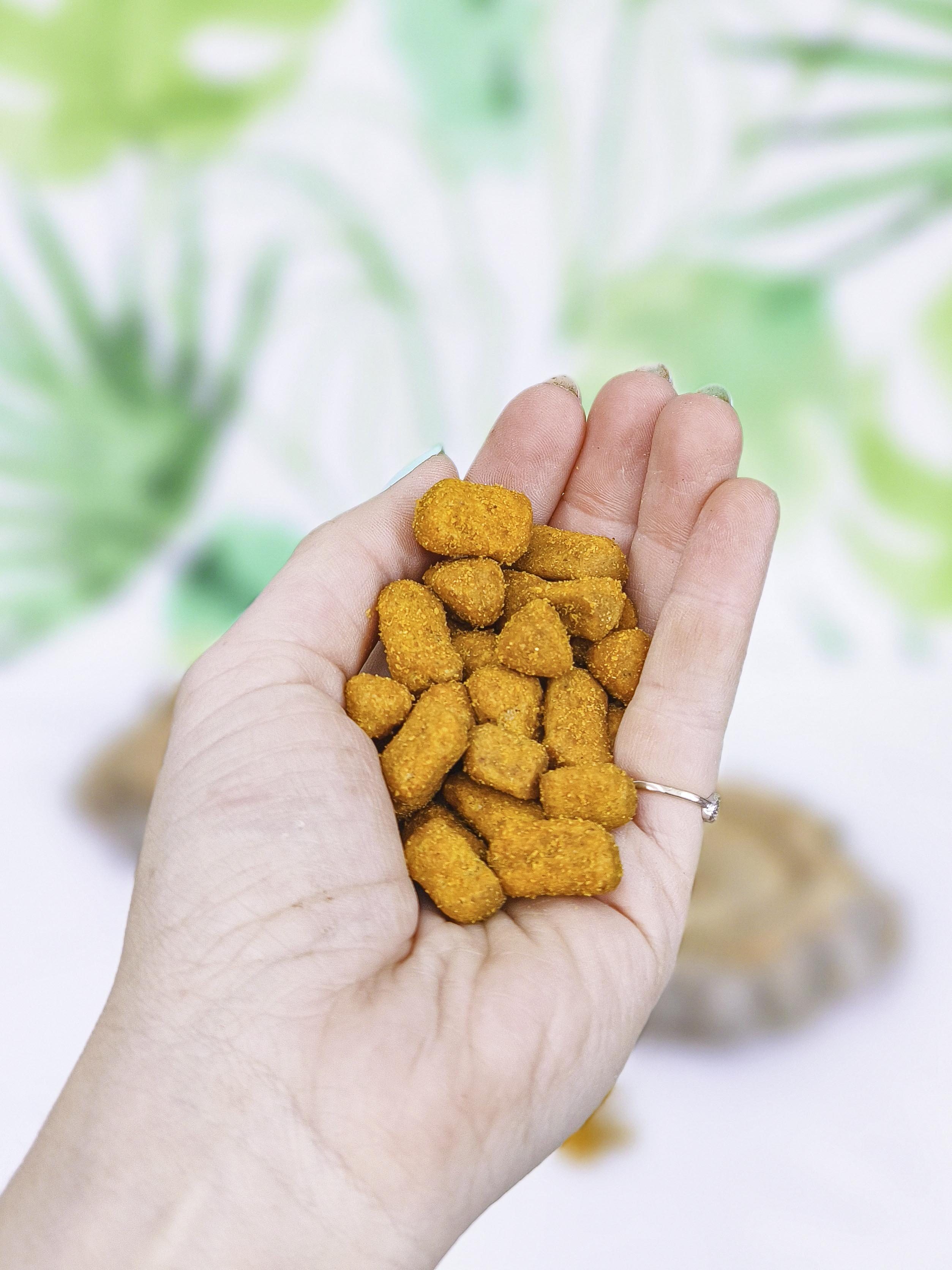 PIENSO Psittacus Omega