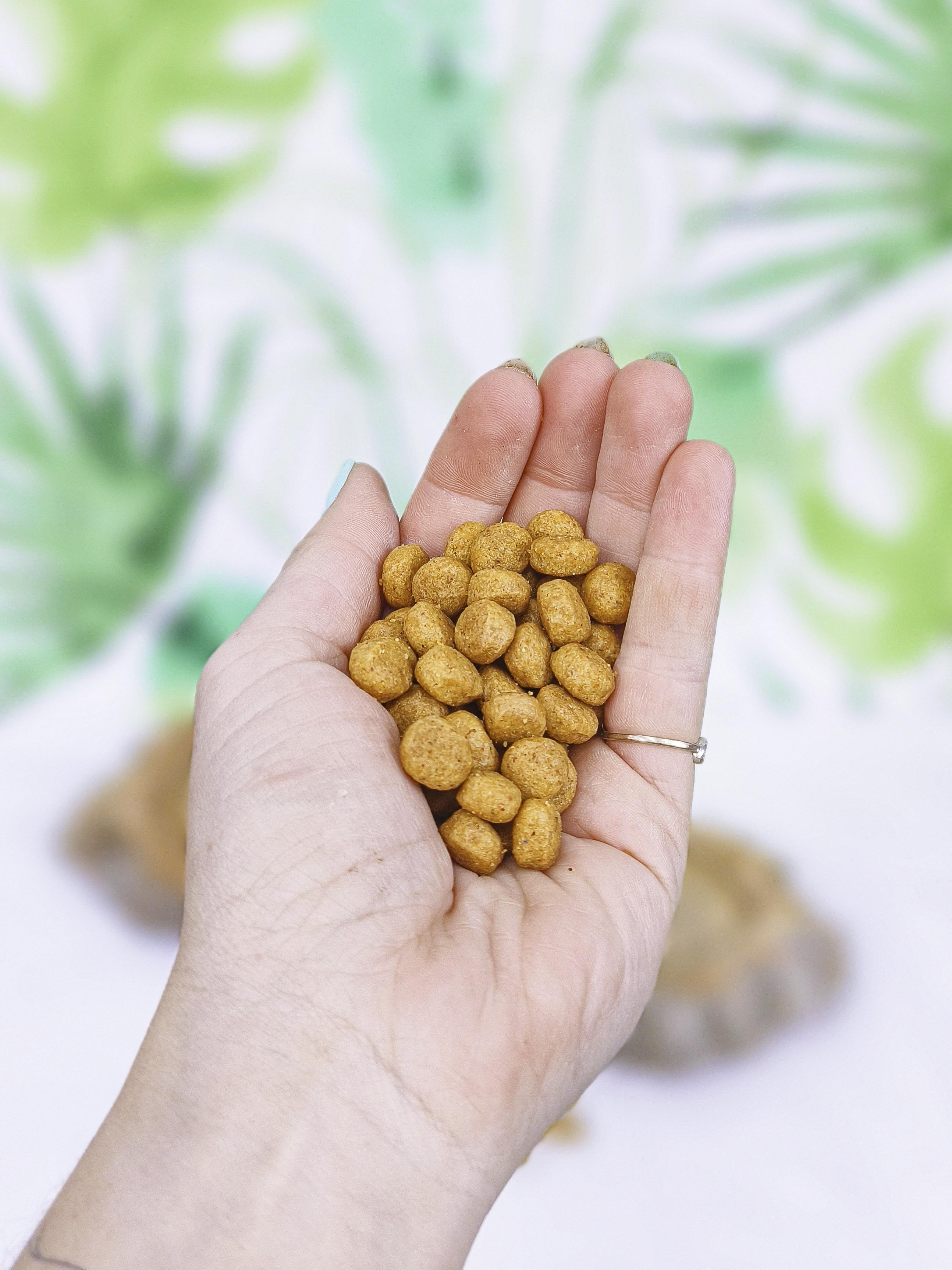 PIENSO Psittacus Alta Energía