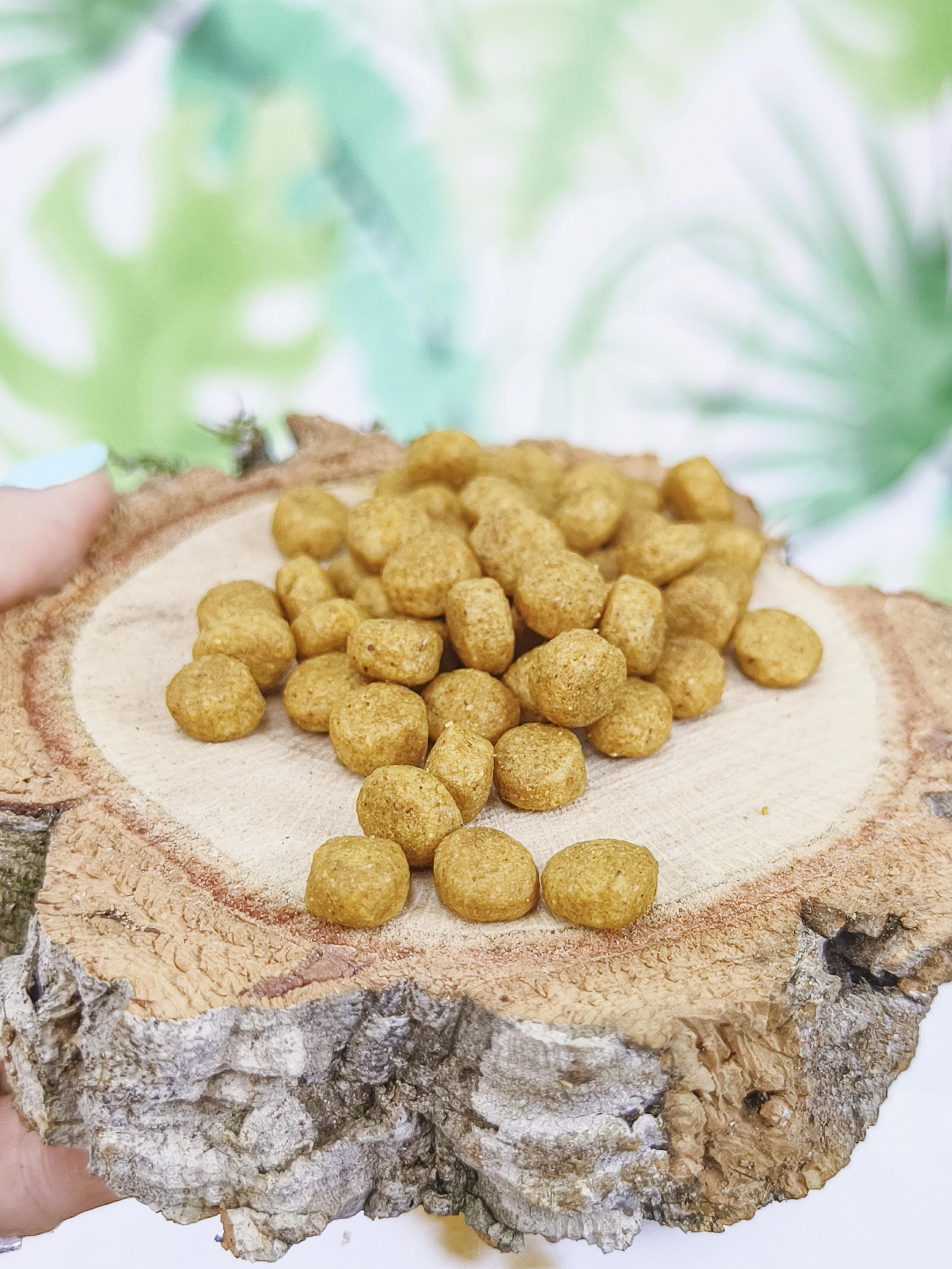 PIENSO Psittacus Alta Energía