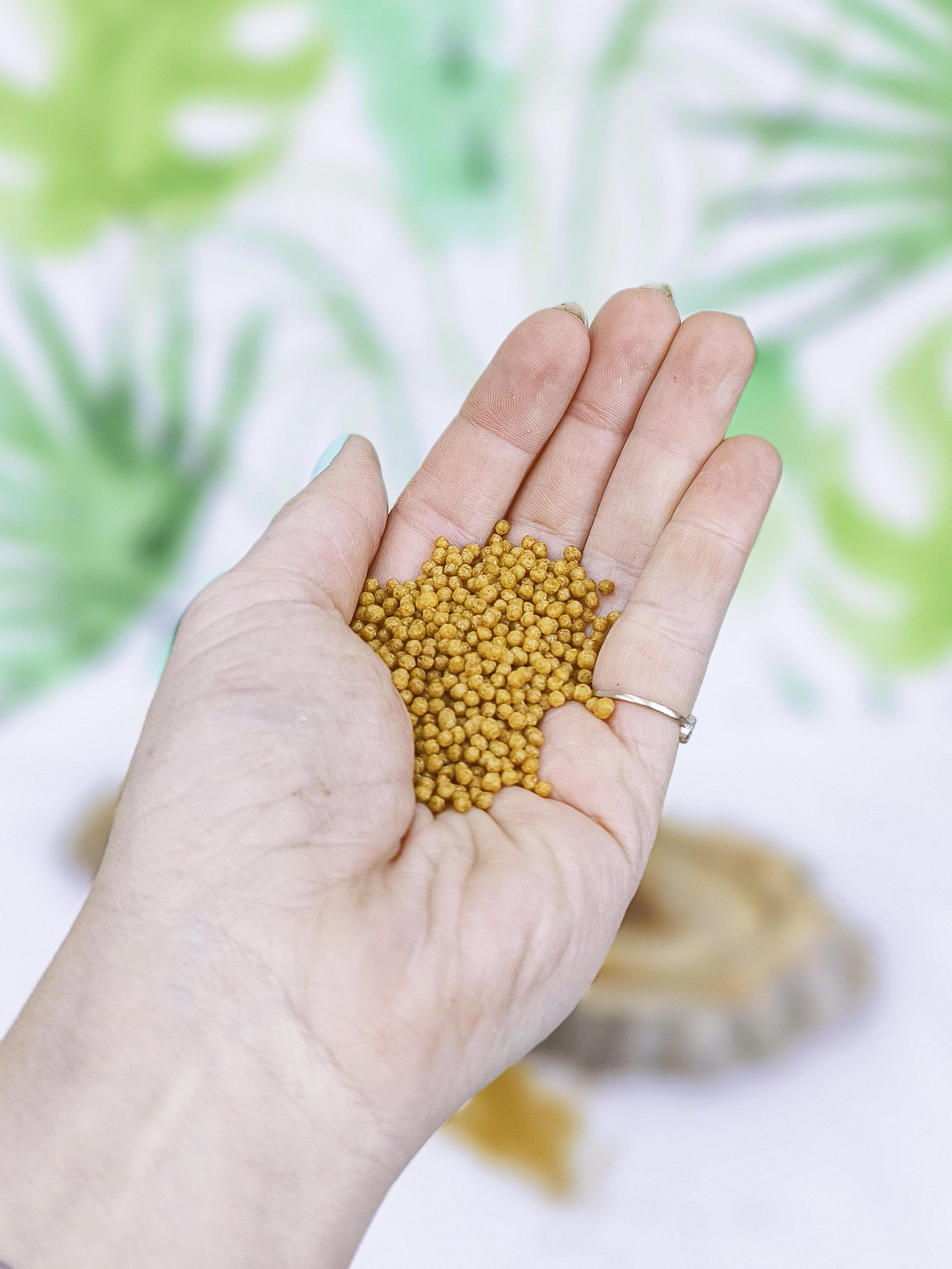 PIENSO Psittacus Minor