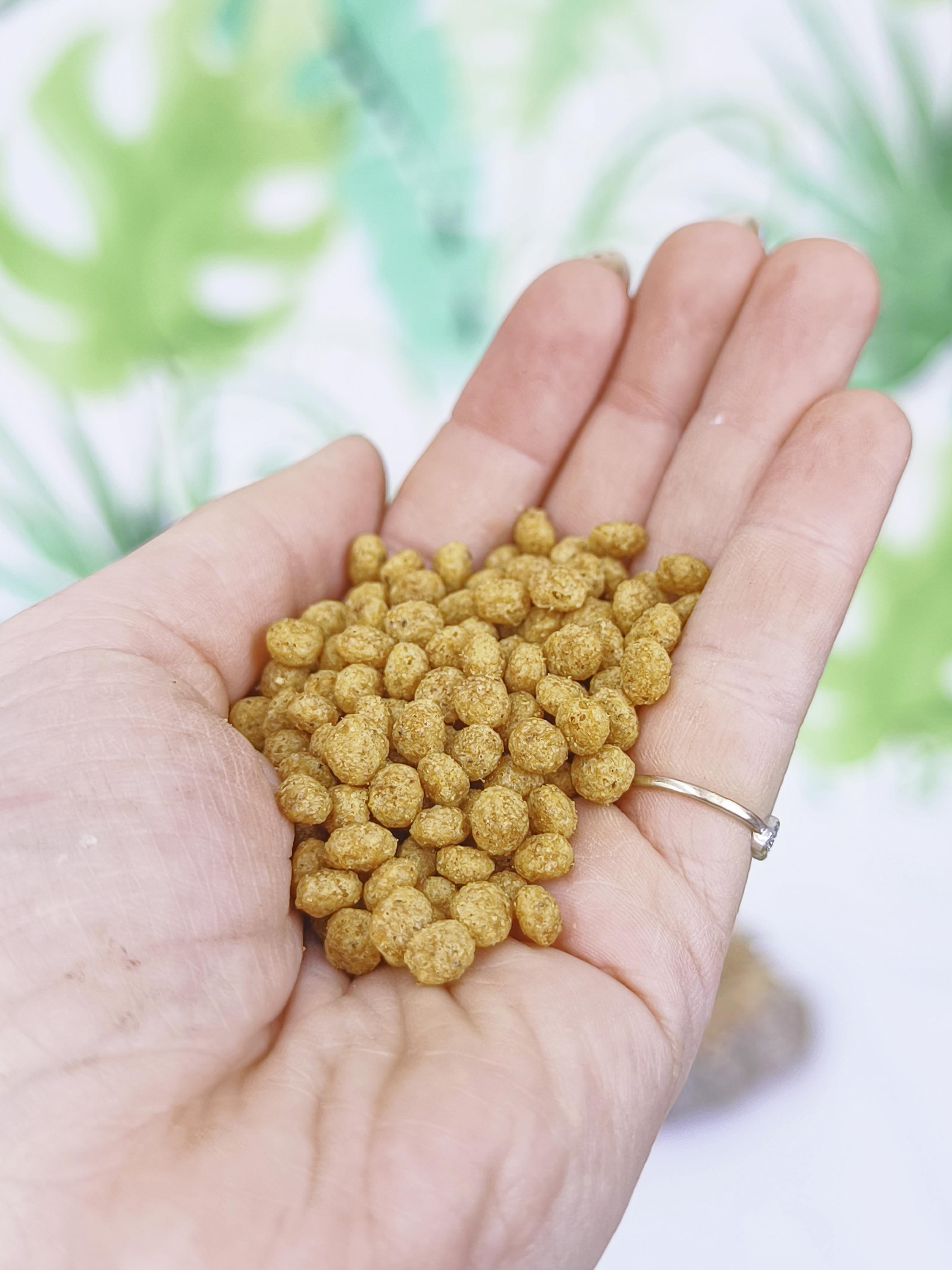 PIENSO Psittacus Mini