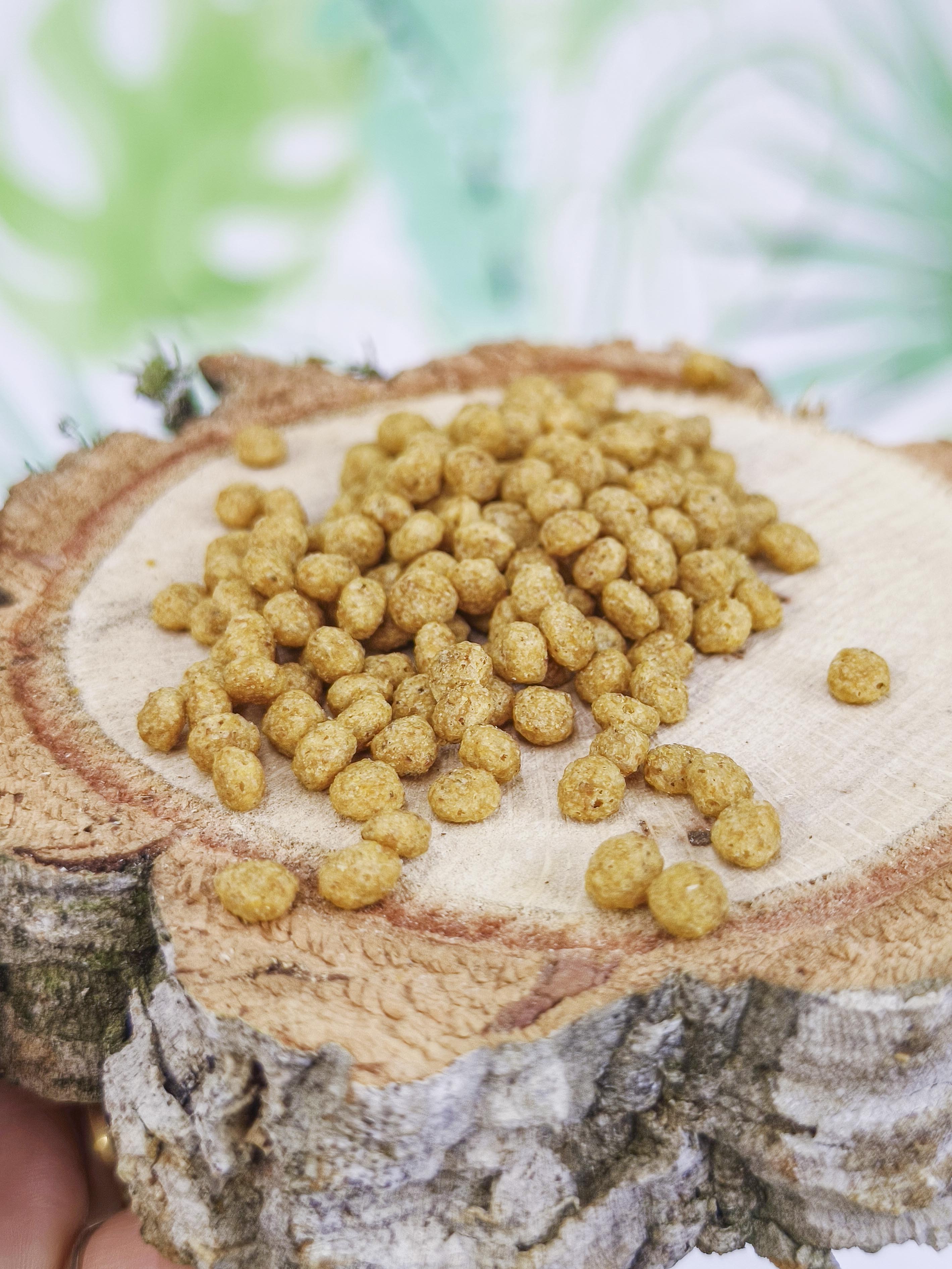 PIENSO Psittacus Mini