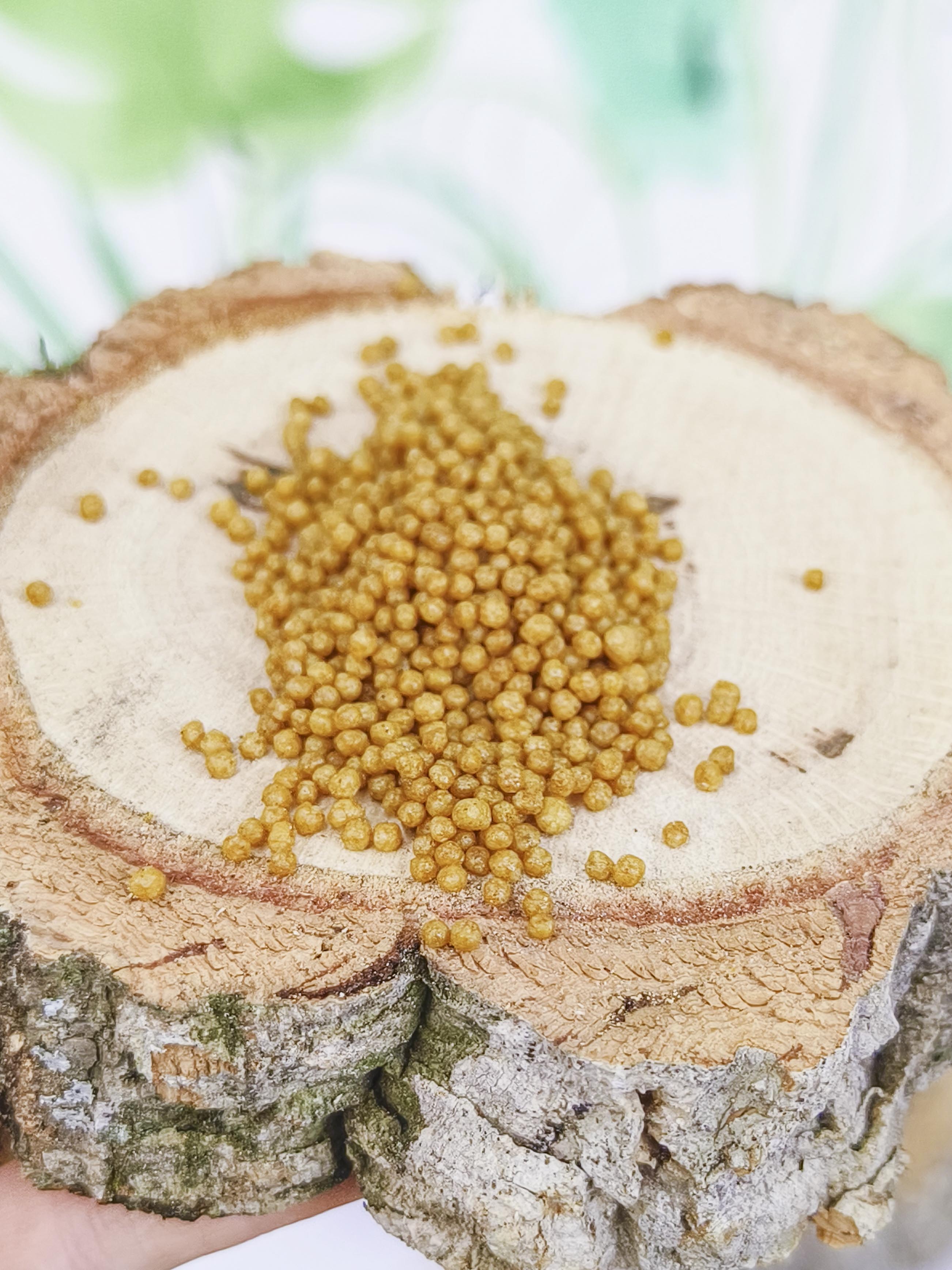 PIENSO Psittacus Microspheres