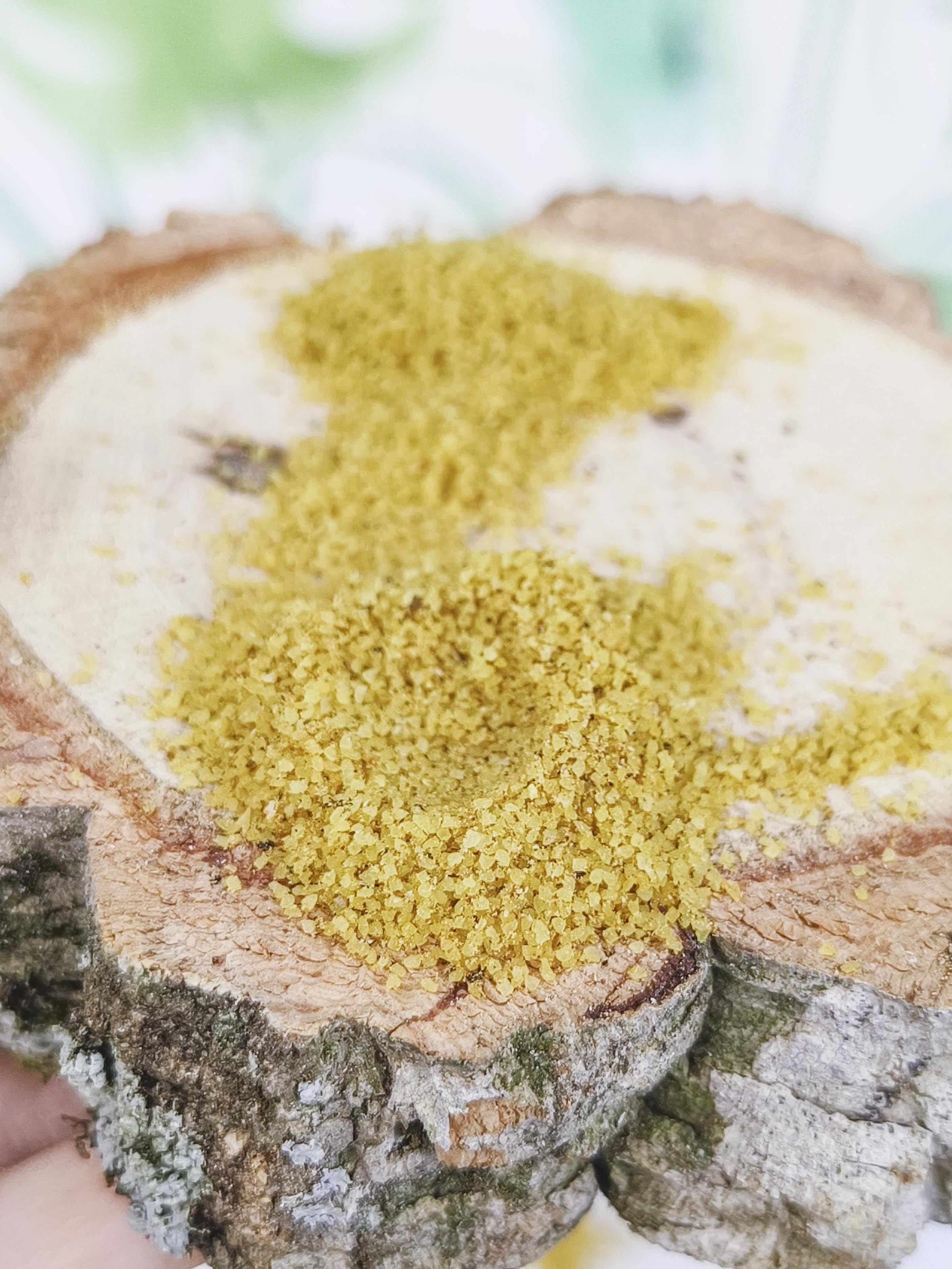 PIENSO Psittacus Micro