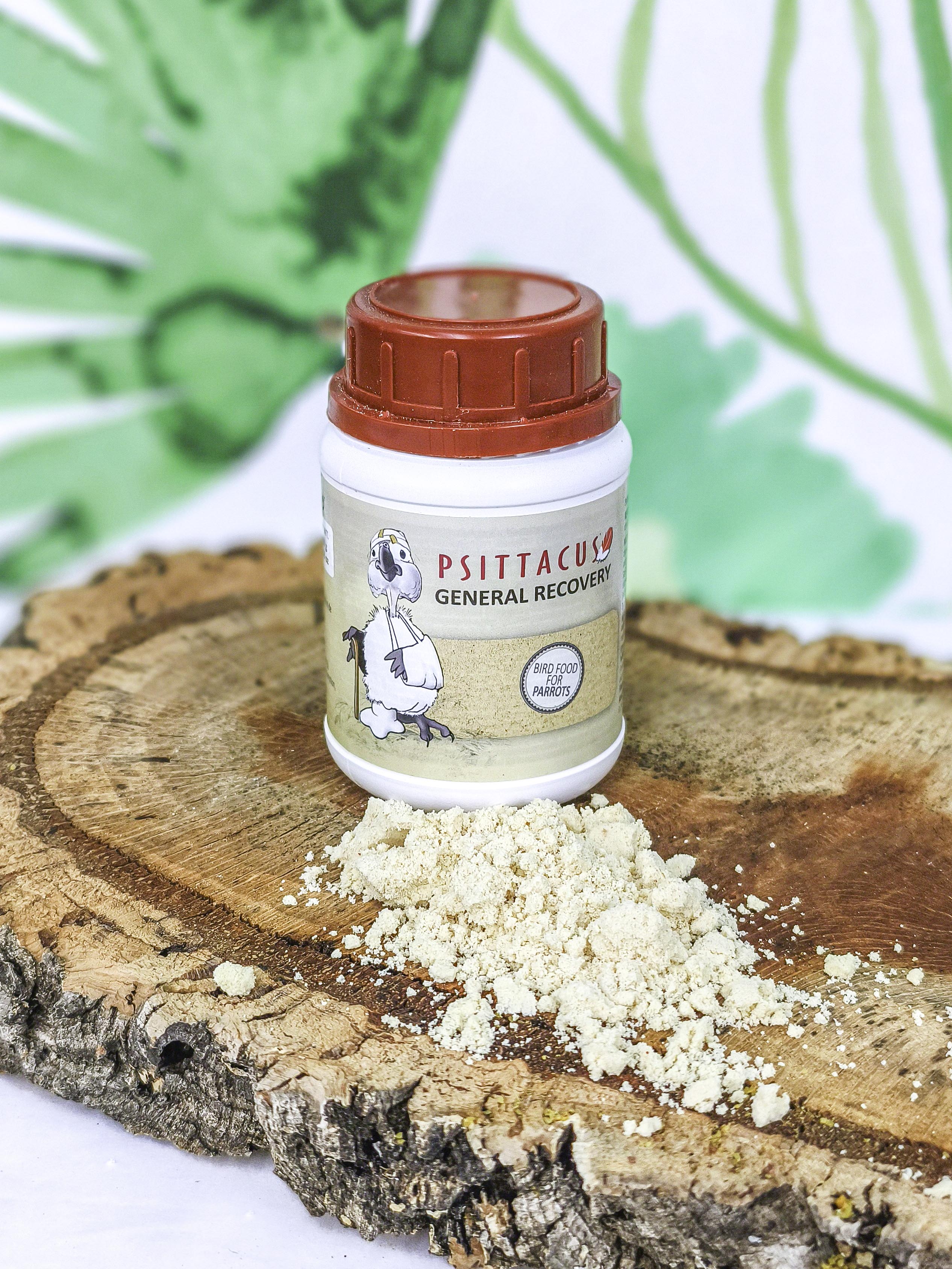 PAPILLA Psittacus Recovery
