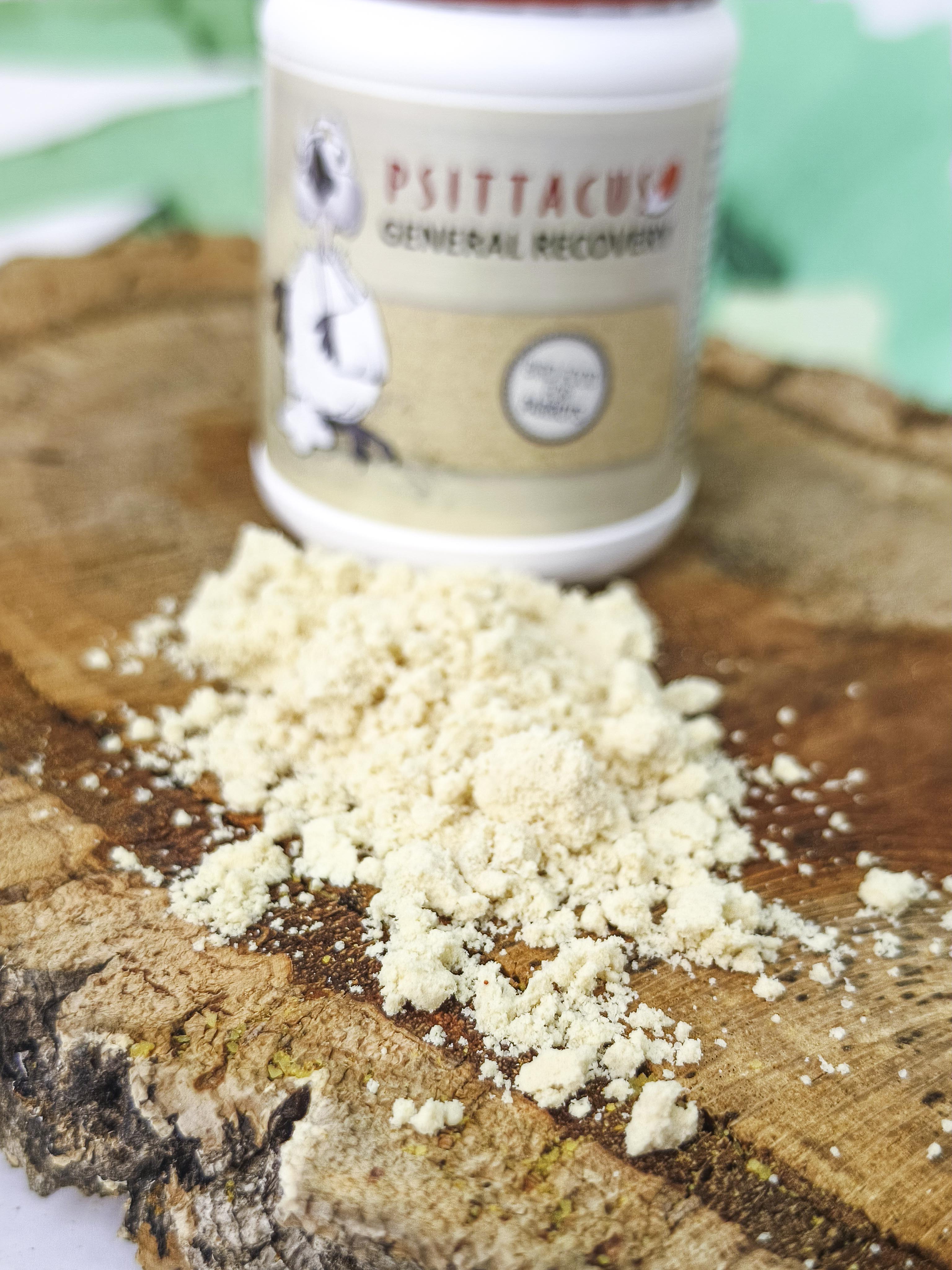 PAPILLA Psittacus Recovery