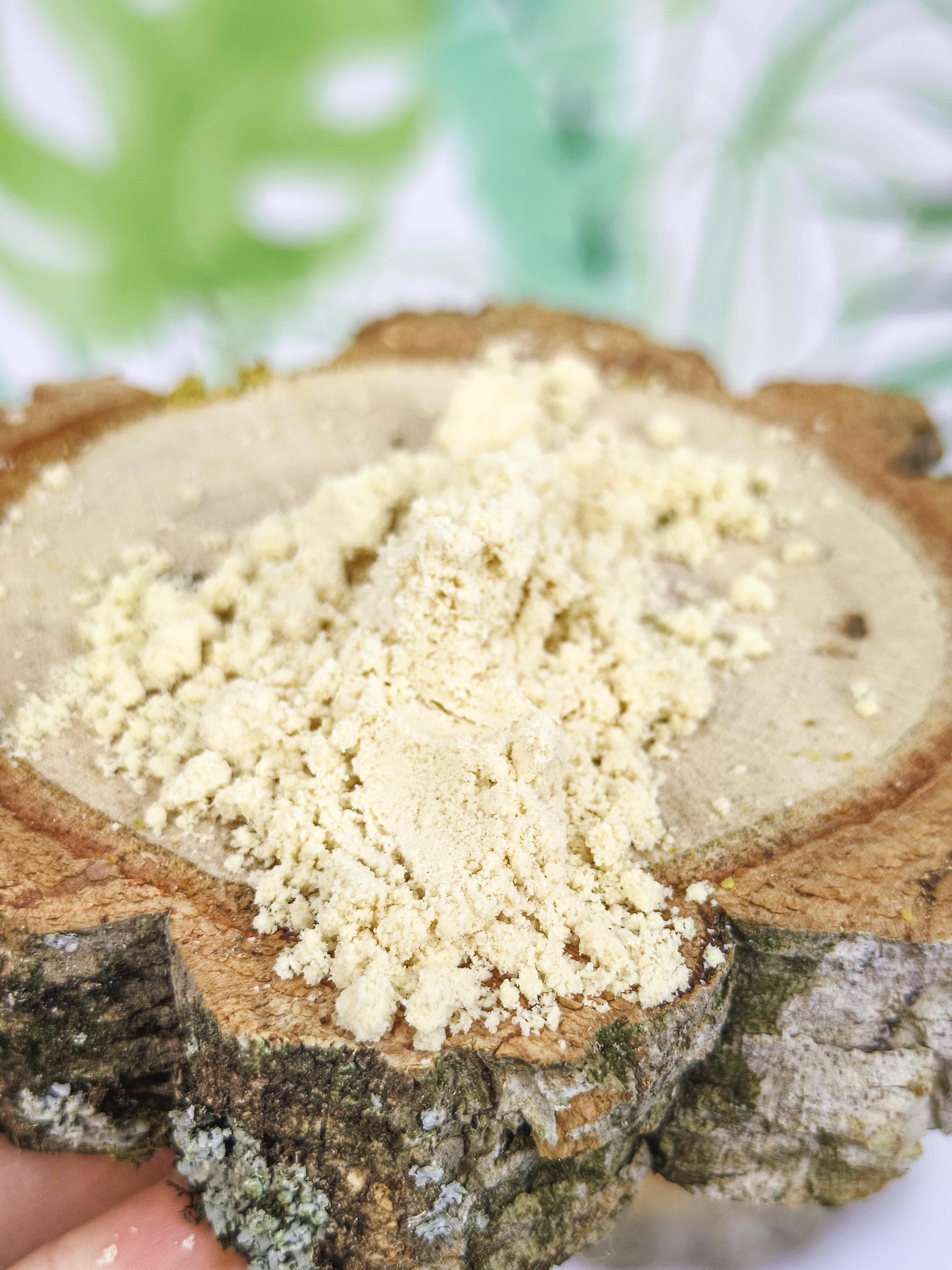 PAPILLA Psittacus Recovery