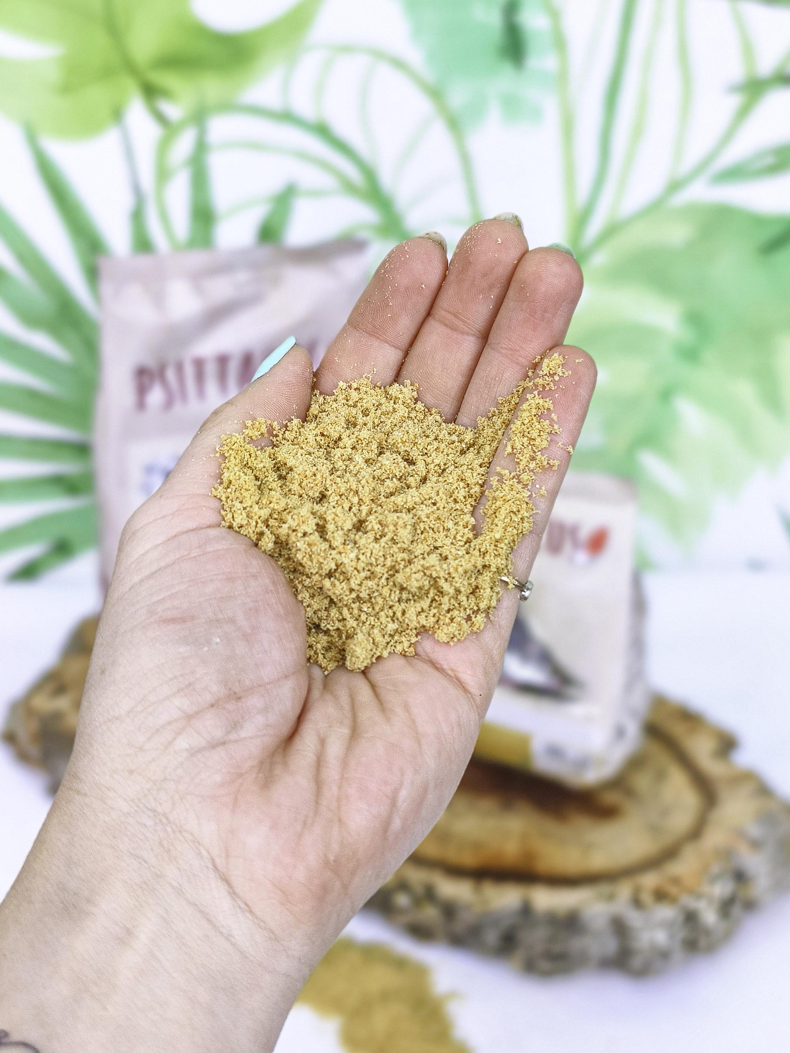 PAPILLA Psittacus Mini