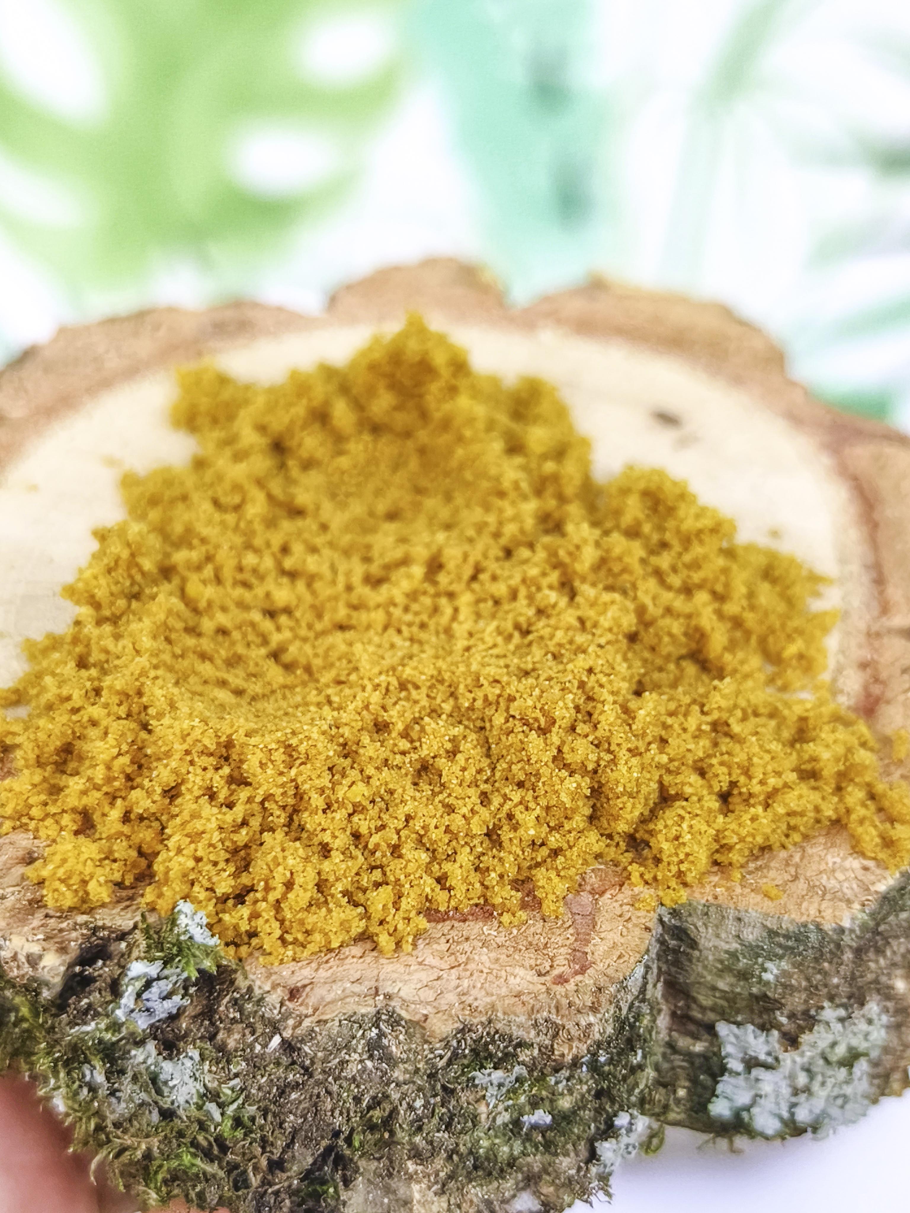 PAPILLA Psittacus Alta Energía