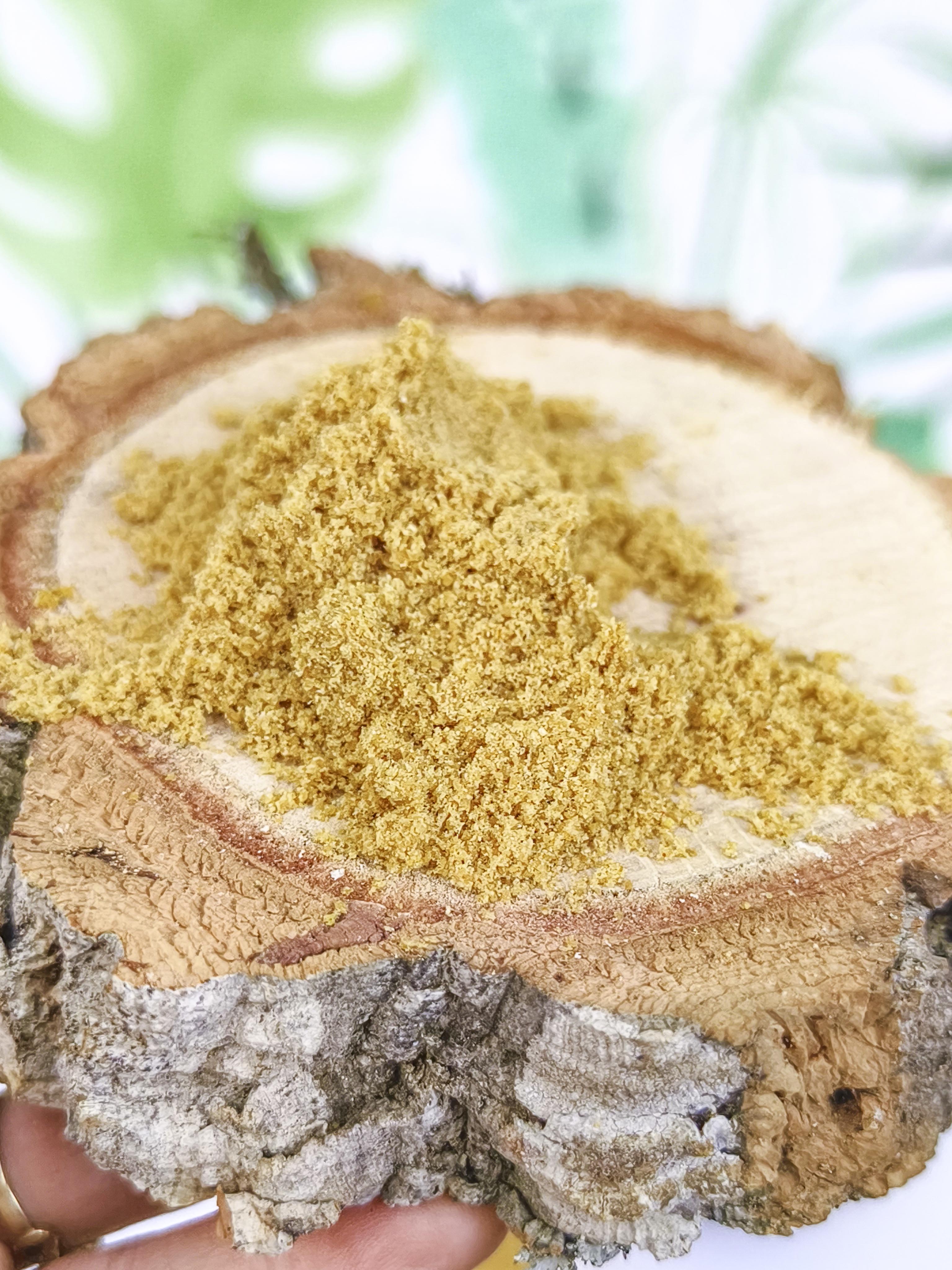 PAPILLA Psittacus Alta Proteína