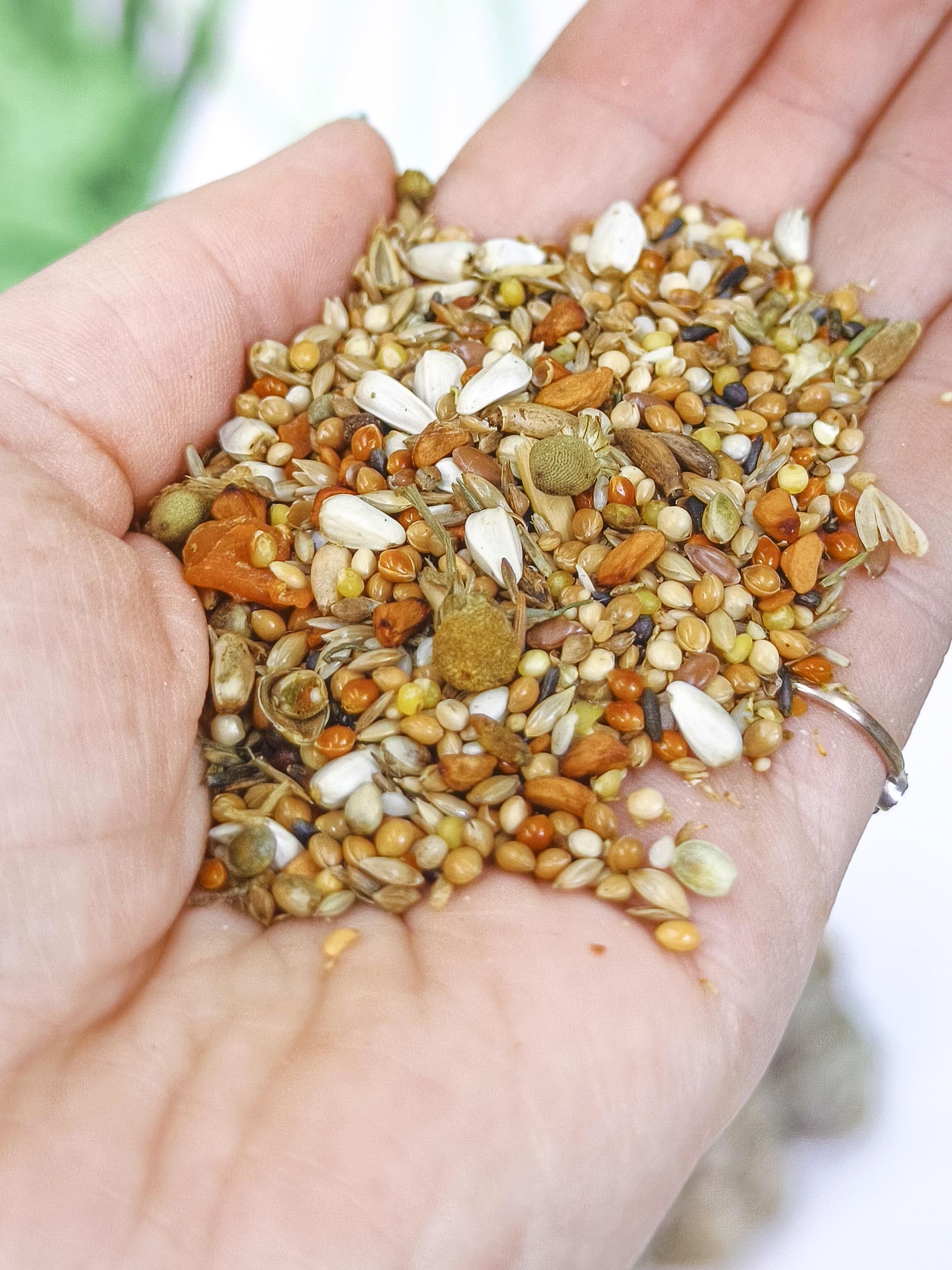 MIXTURA JR Farm |Semillas para ninfas y loros pequeños