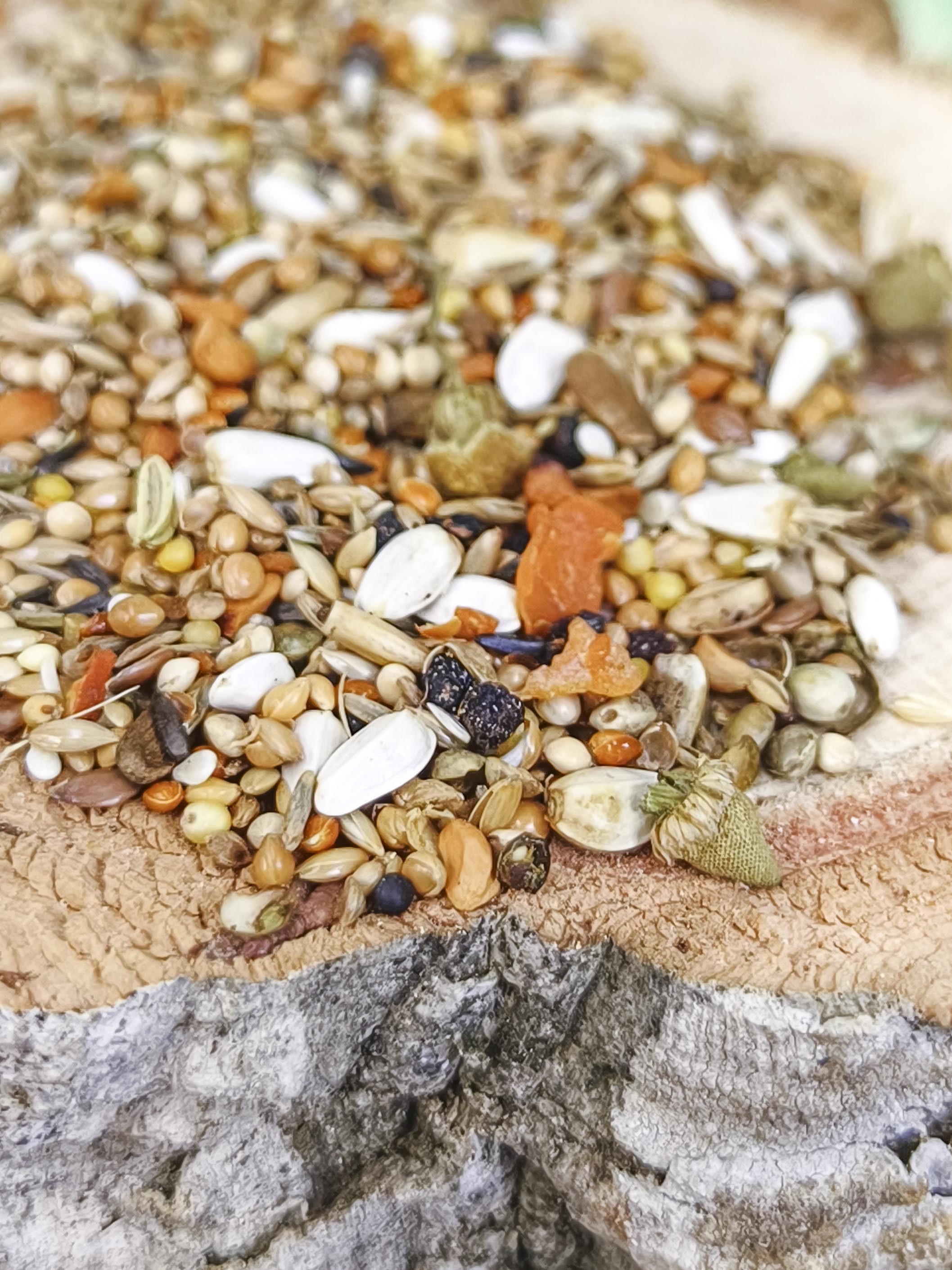 MIXTURA JR Farm |Semillas para ninfas y loros pequeños