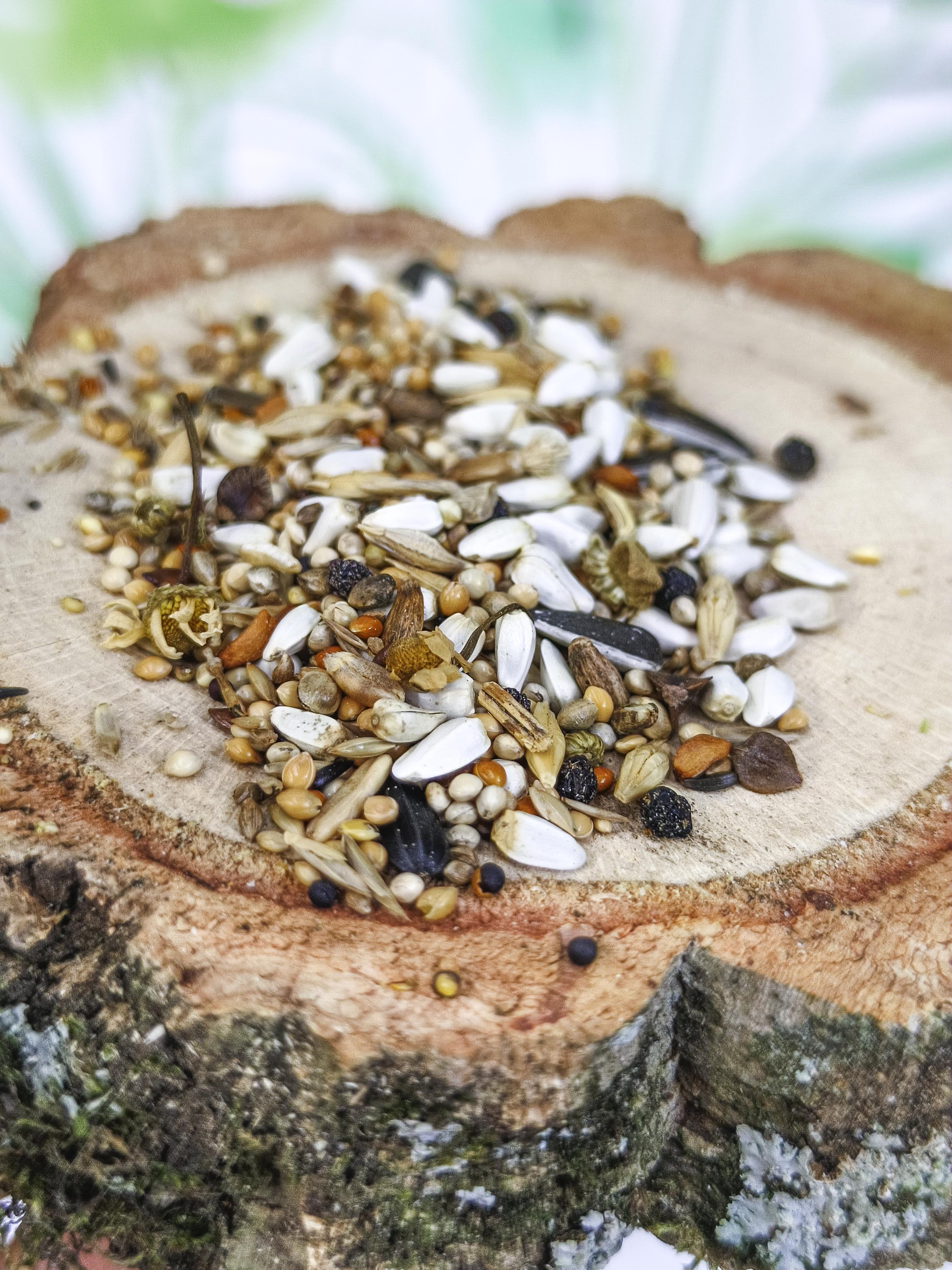 MIXTURA JR Farm |Semillas para agapornis y loros pequeños